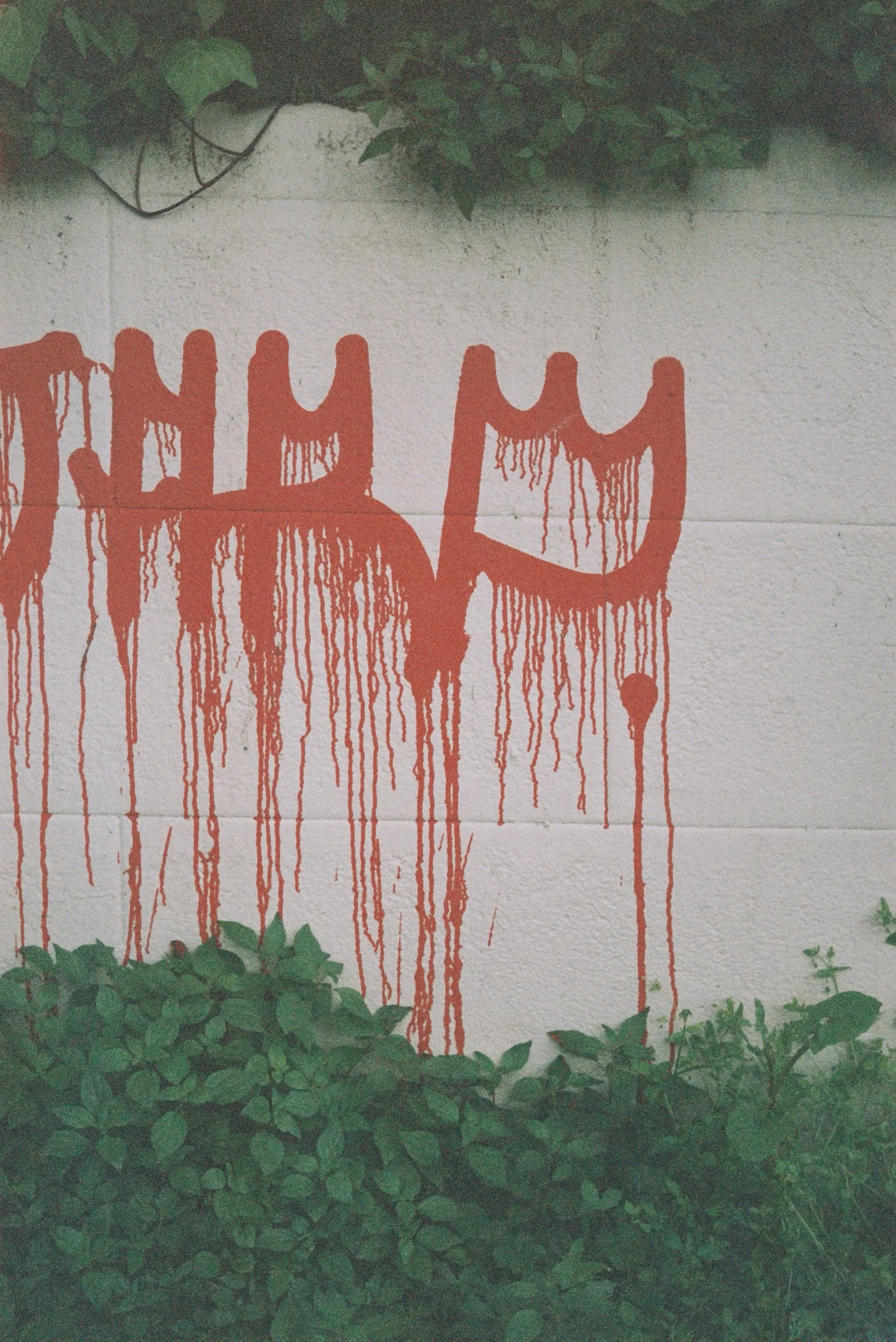 Graff