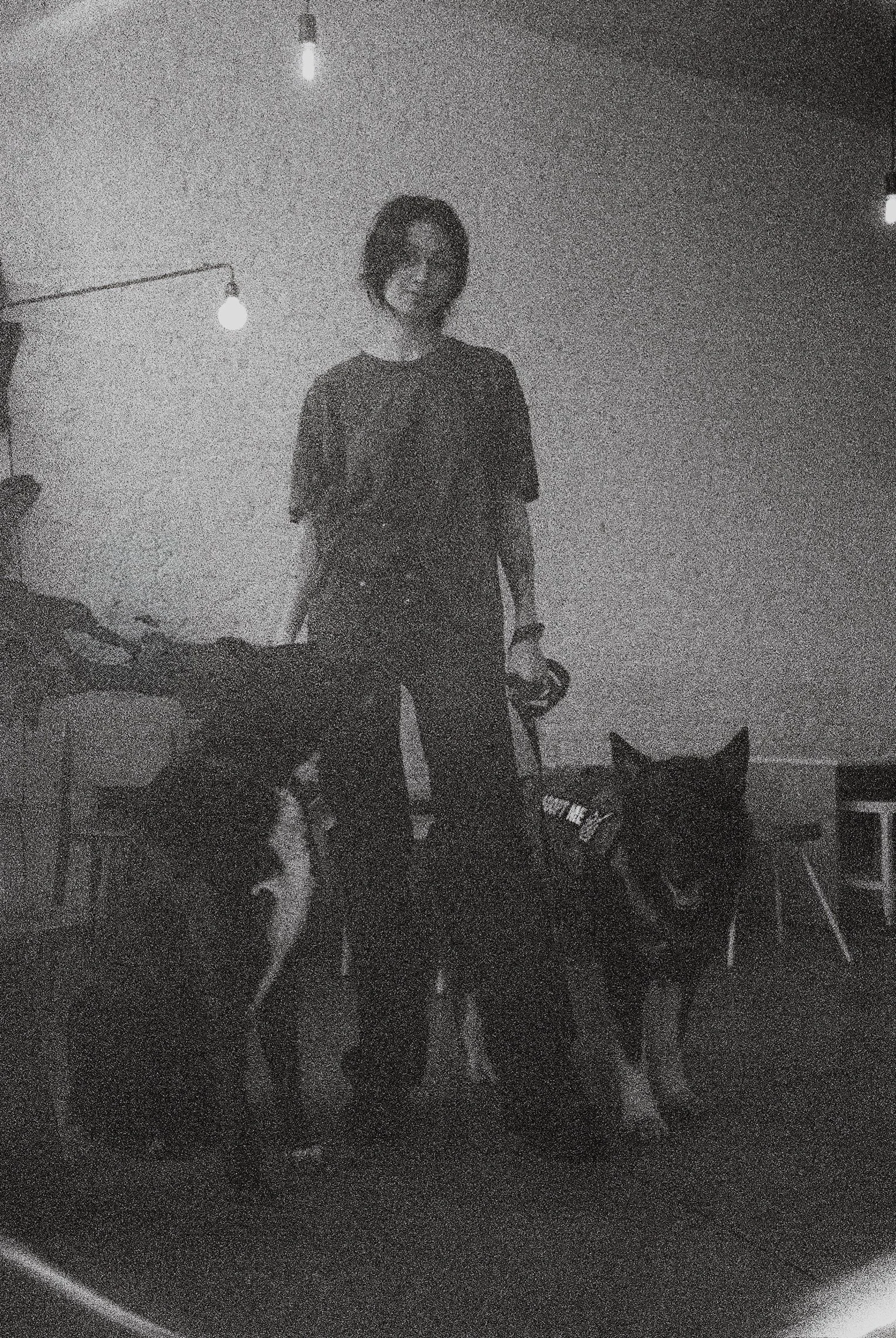 Ash and hounds