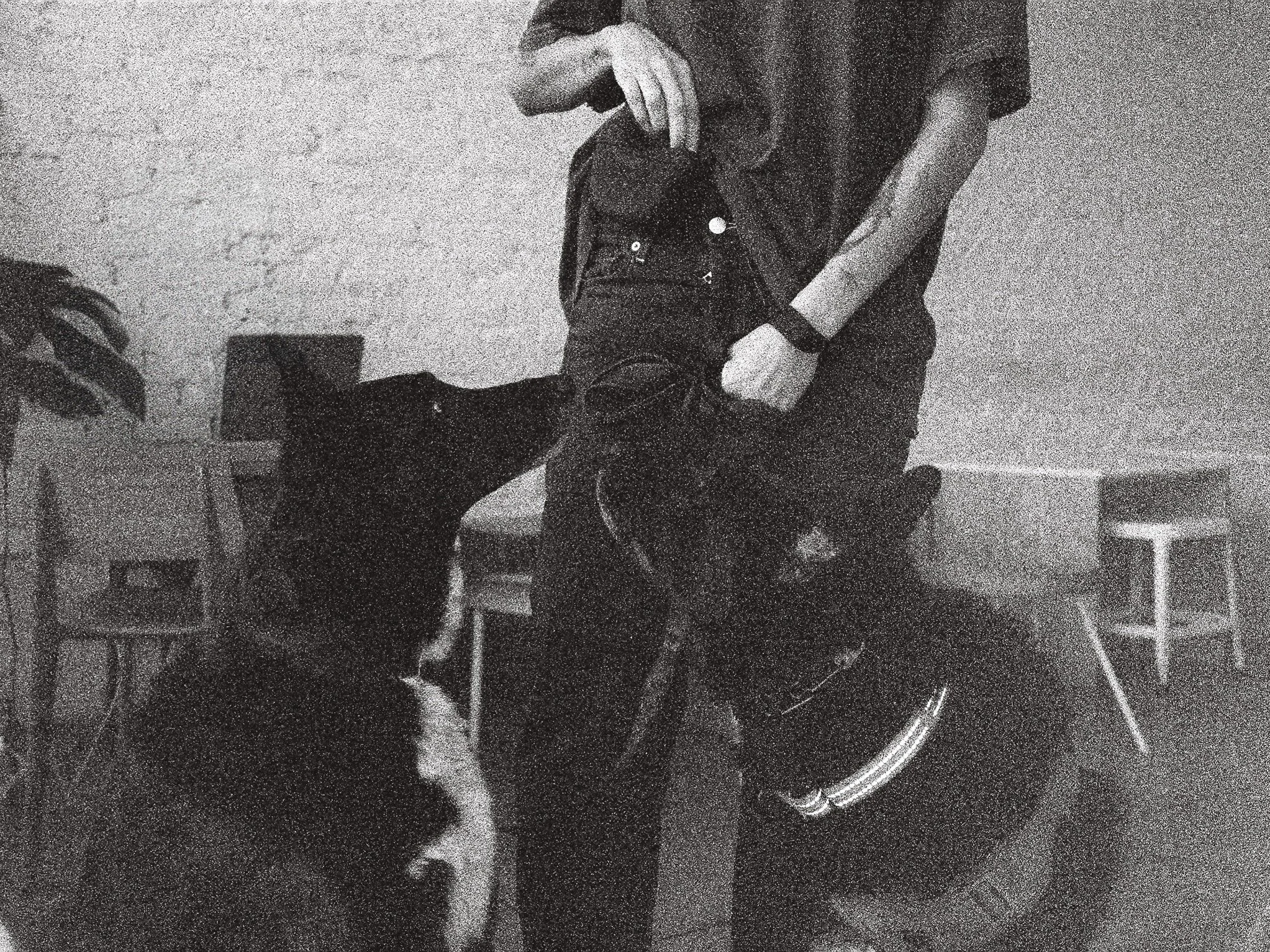 the hounds