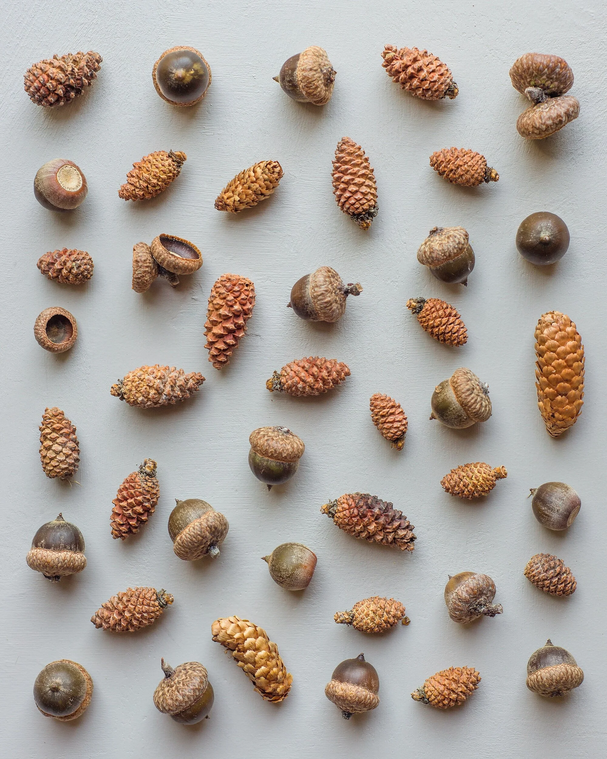 DIY Acorn Crafts for Kids Easy Thanksgiving & Fall — xoxoerinsmith.com