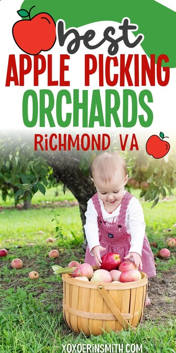 25 Best Apple Picking Orchards/Places to Visit in Virginia