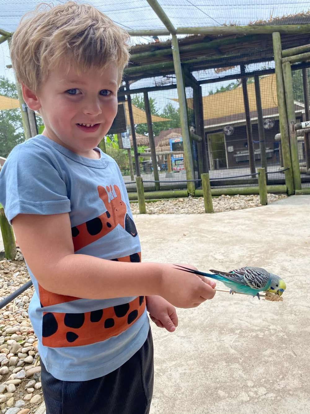 10 Best Family Memberships in Richmond VA —