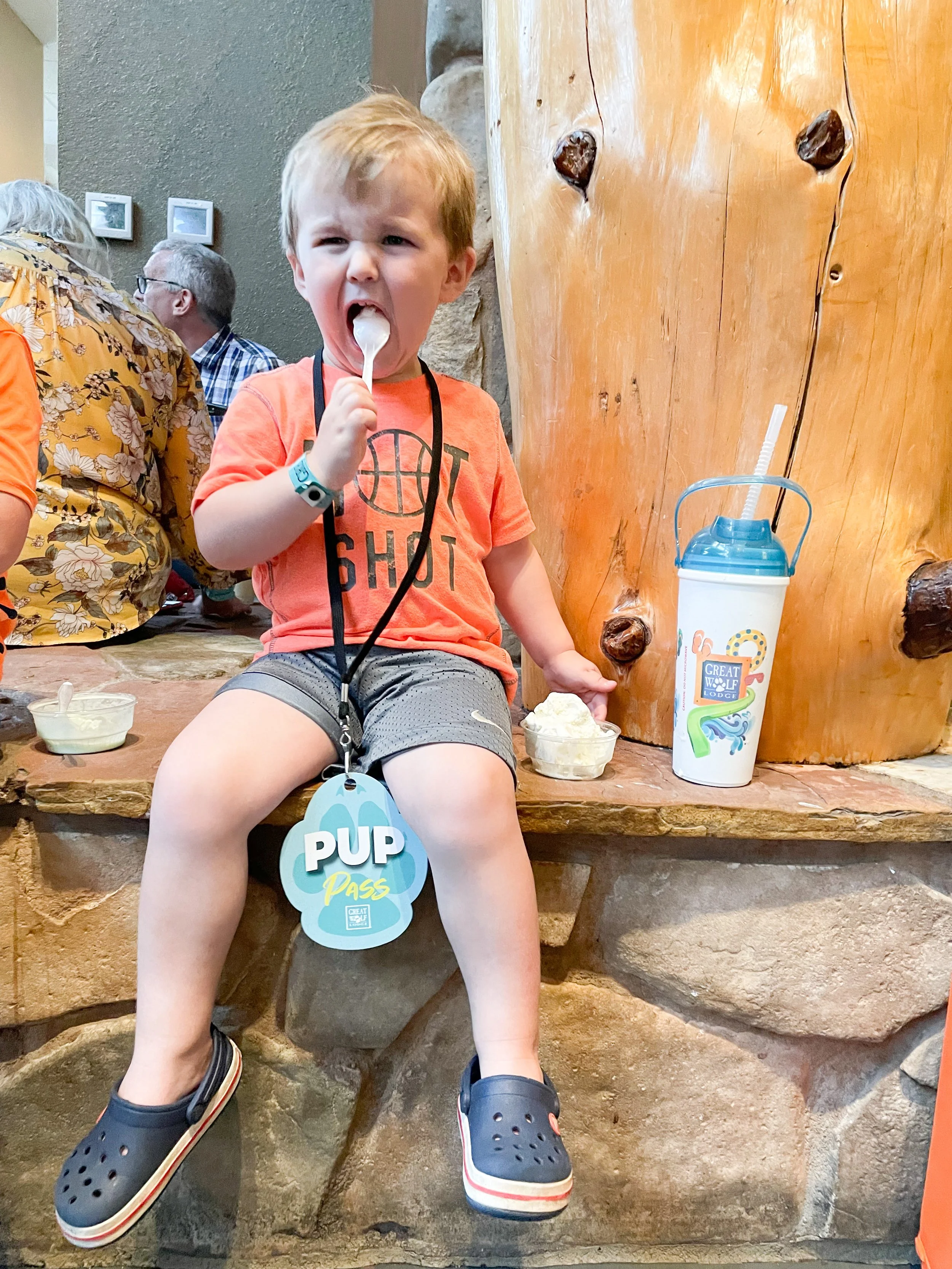 Are Great Wolf Lodge Paw or Pup Package Passes Worth It