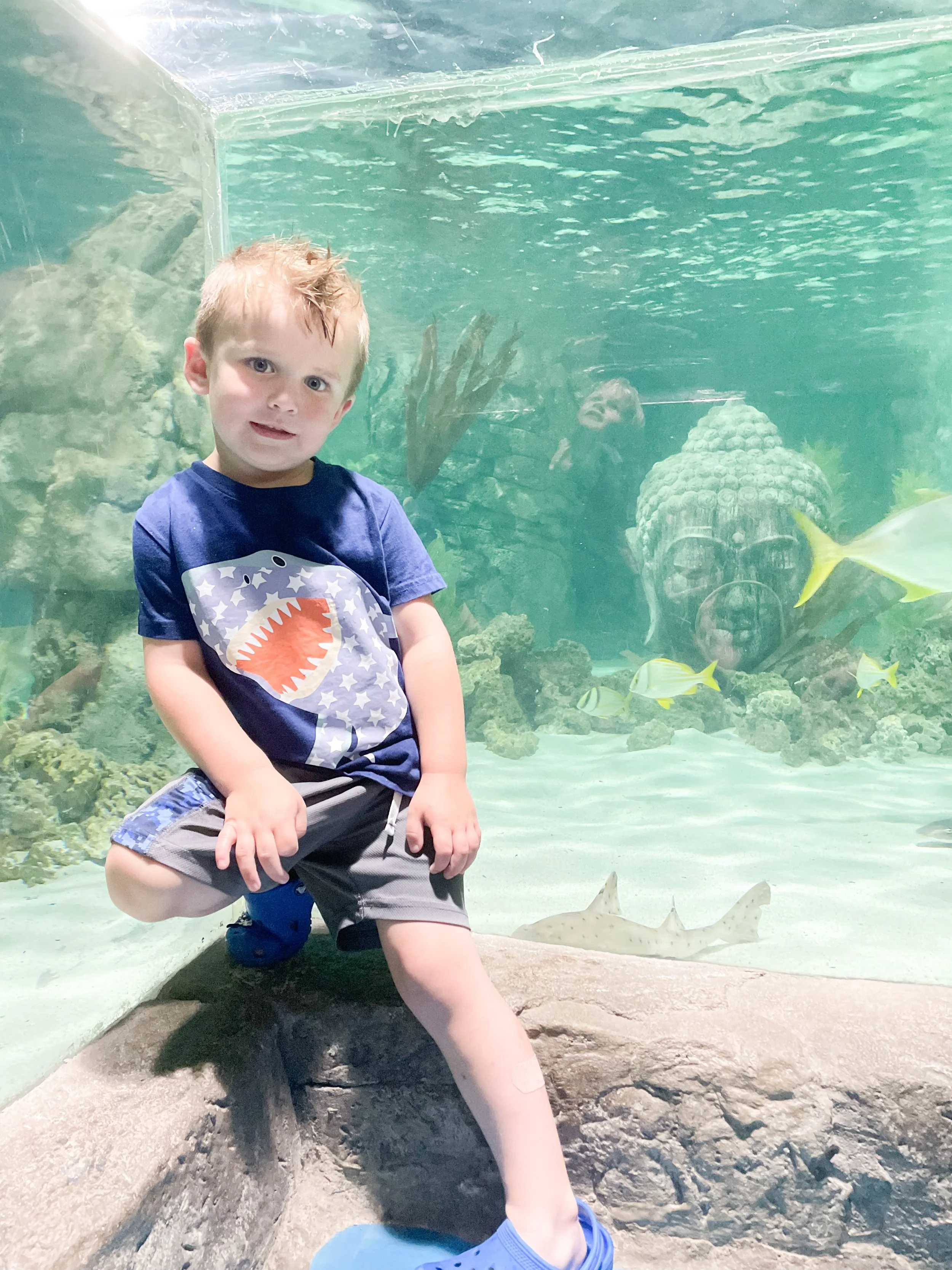SeaQuest Aquarium and Zoo in Lynchburg VA Review —