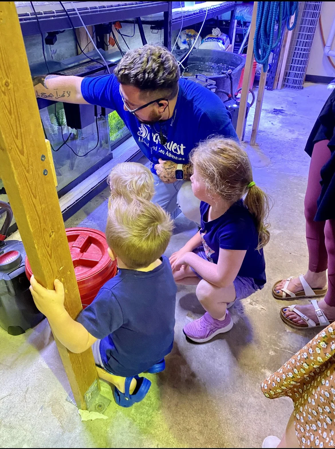 SeaQuest Aquarium and Zoo in Lynchburg VA Review —