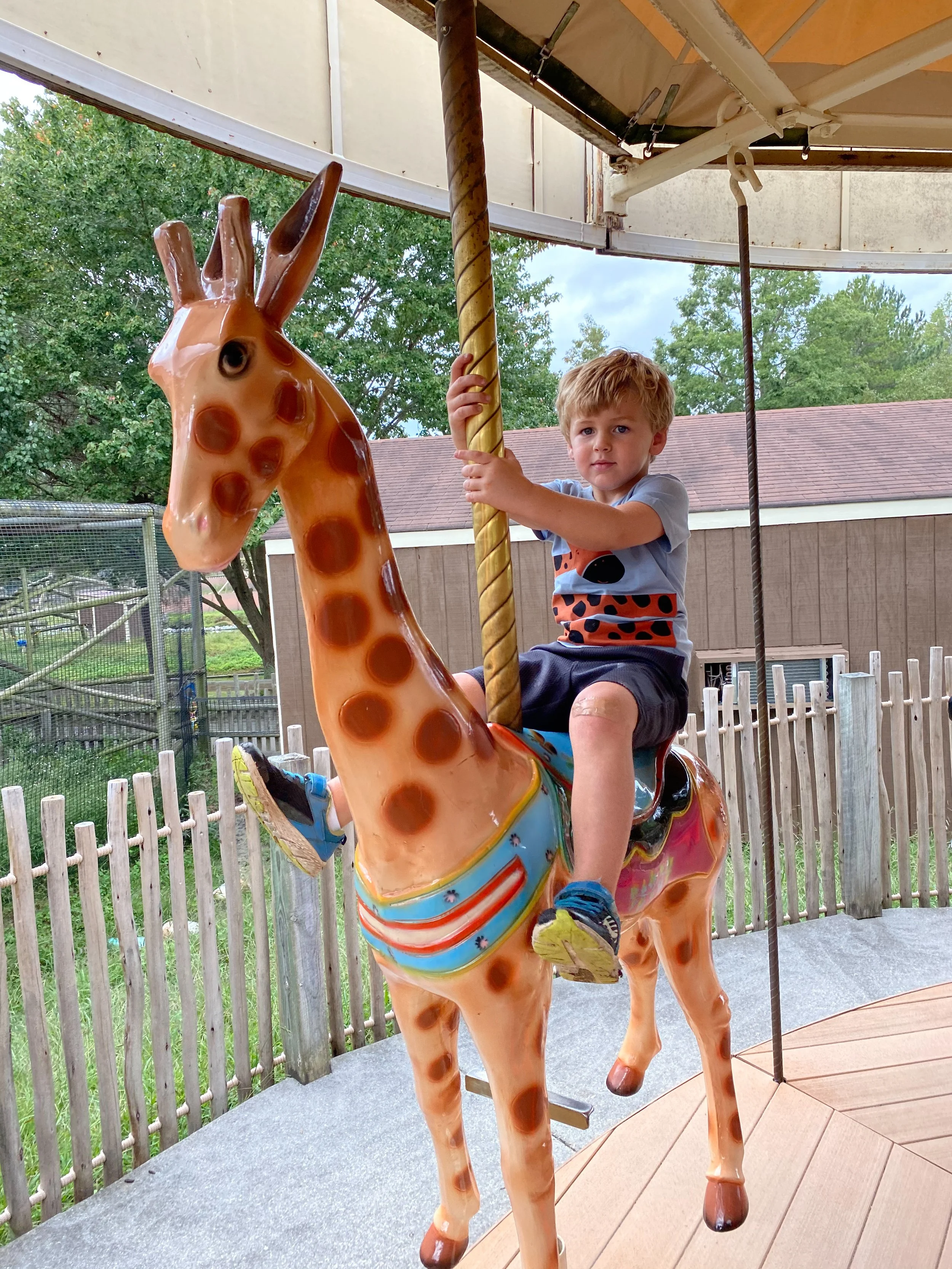 Metro Richmond Zoo Must Visit in Virginia —