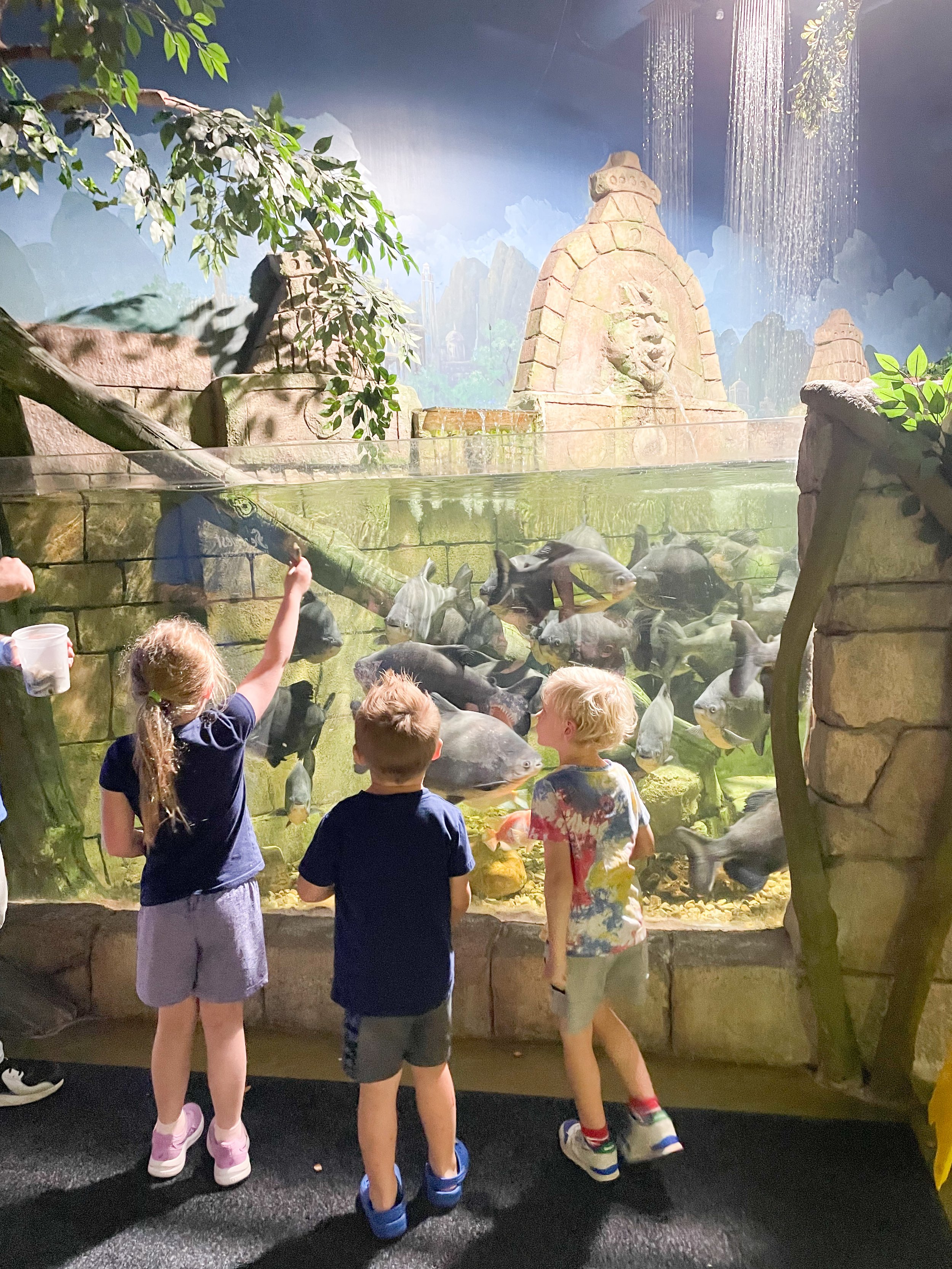 SeaQuest Aquarium and Zoo in Lynchburg VA Review —