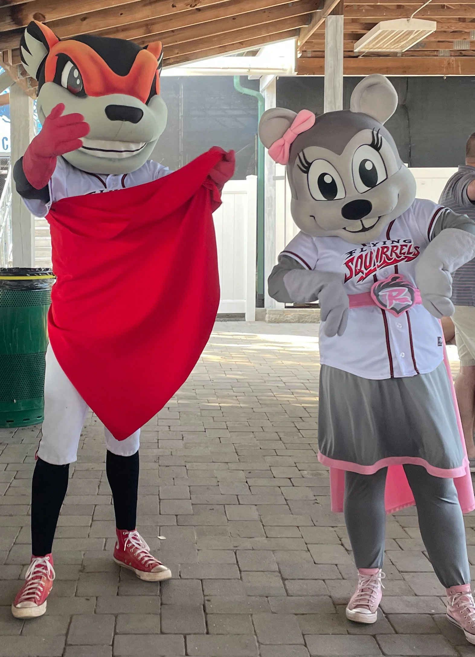 Richmond Virginia's Flying Squirrels Baseball Family Outing Fun