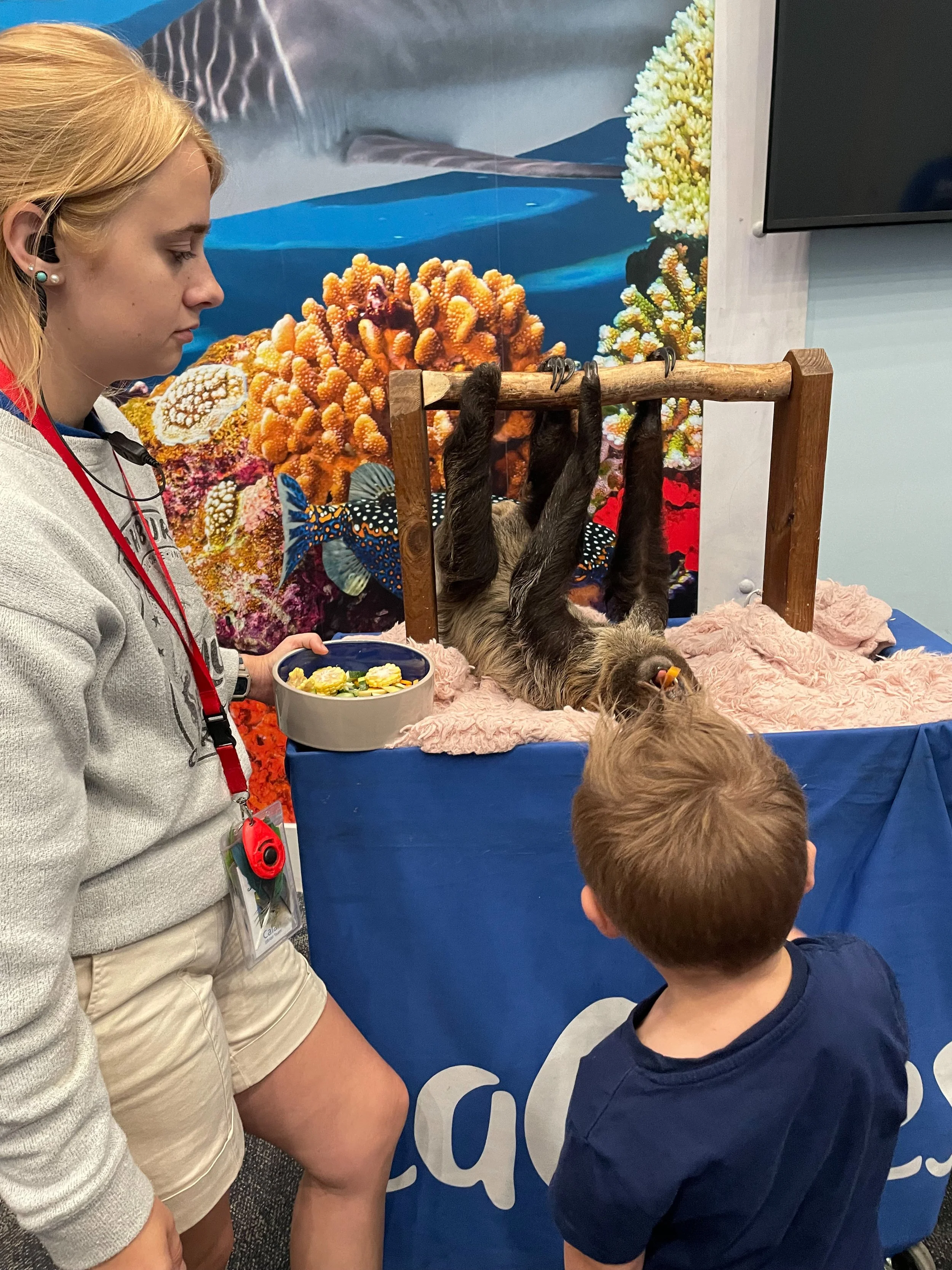 SeaQuest Aquarium and Zoo in Lynchburg VA Review —