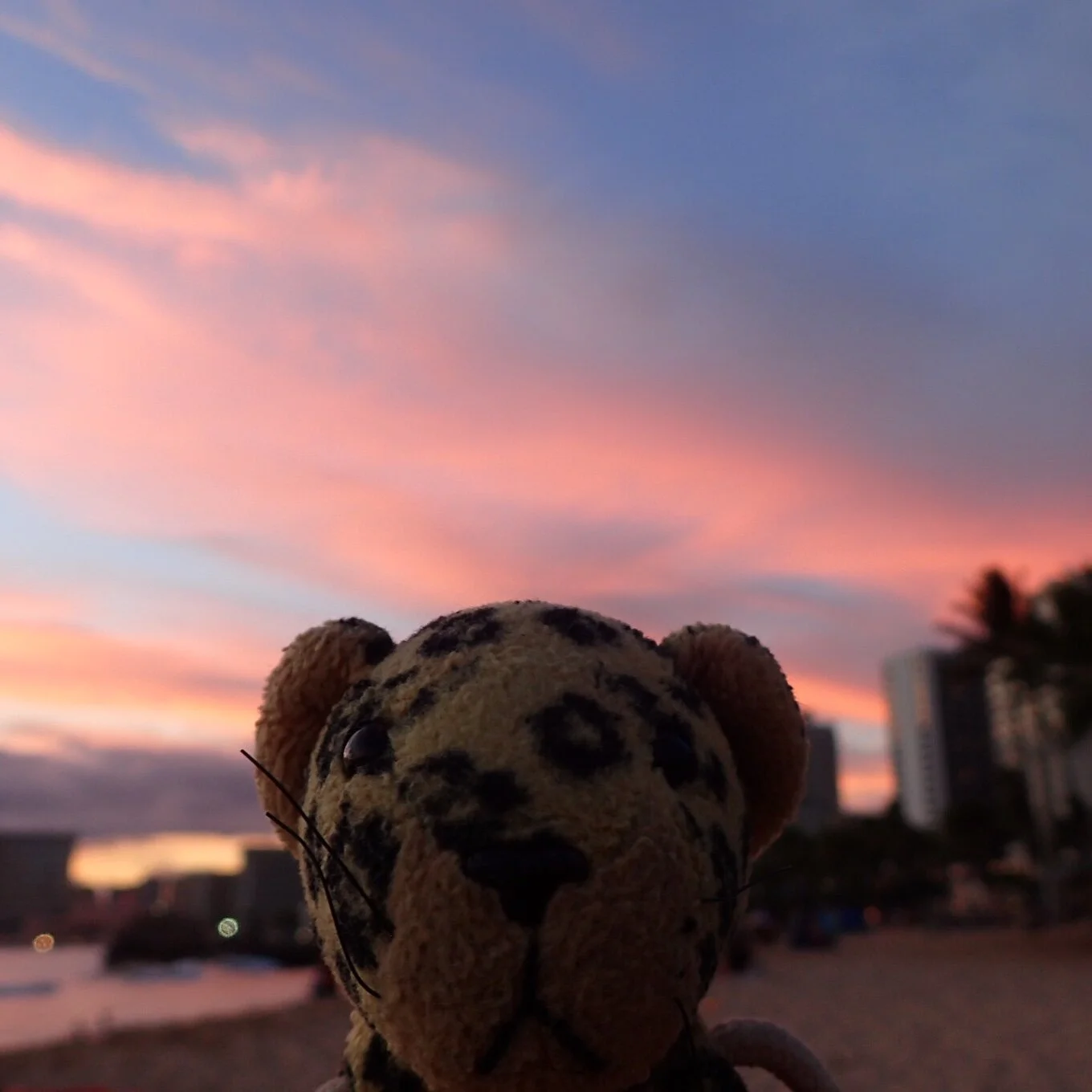 IMG_8297.JPEG