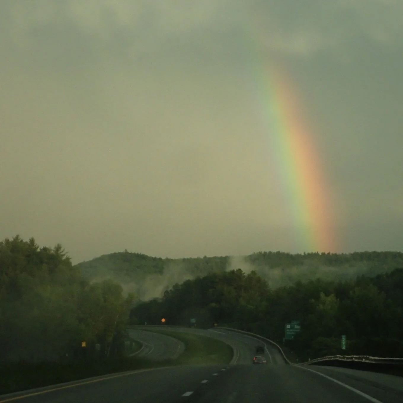 IMG_4695.JPEG
