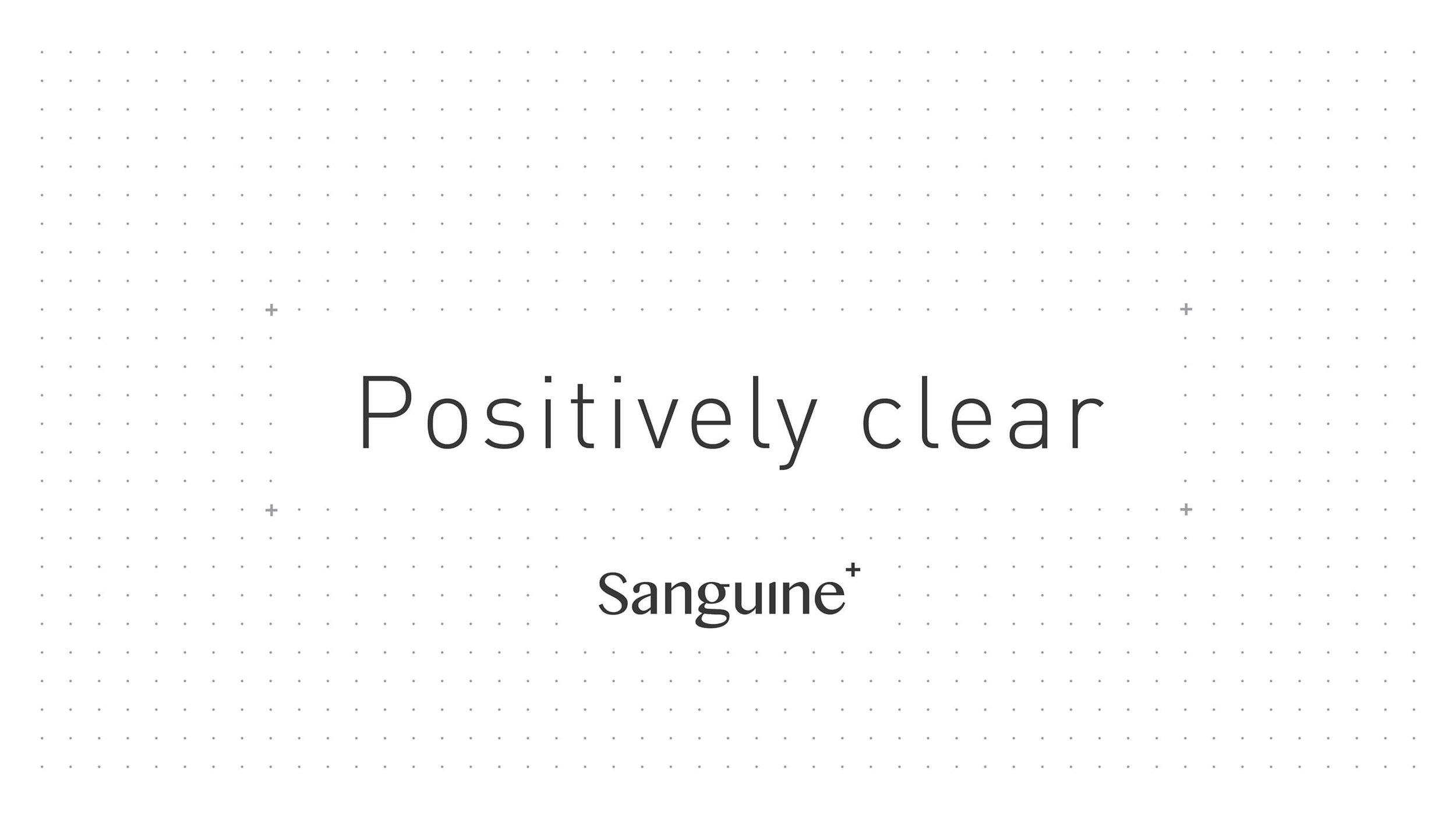 Sanguine Digital Case Study3.jpg