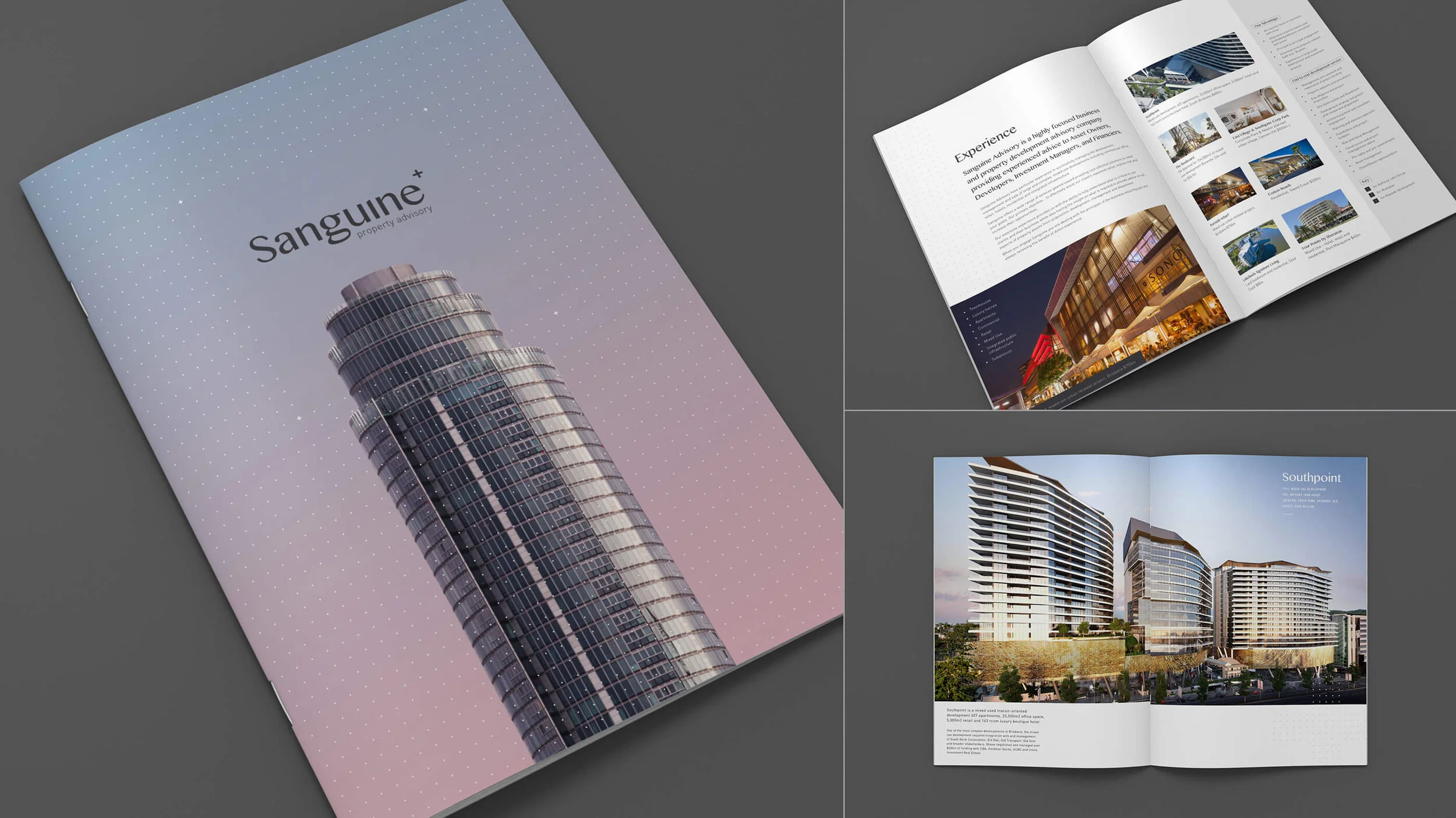 Sanguine Digital Case Study8.jpg