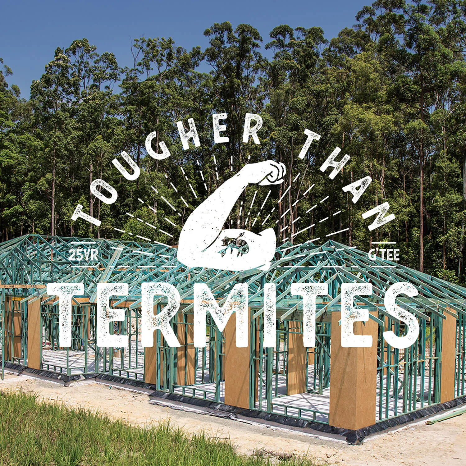 Hyne_LoveTimber_Case-Study9.jpg