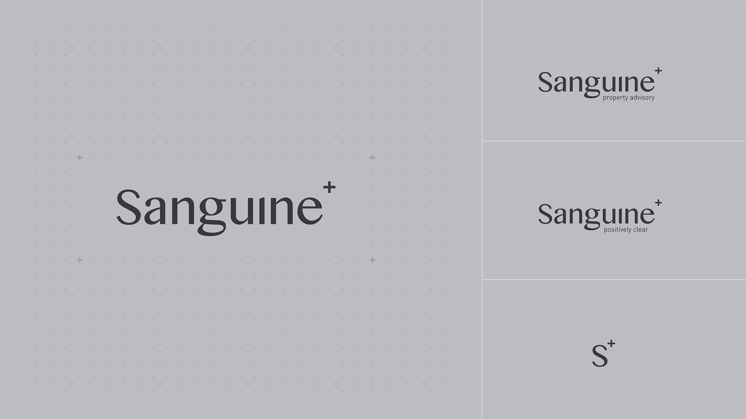 Sanguine Case Study Logos.png