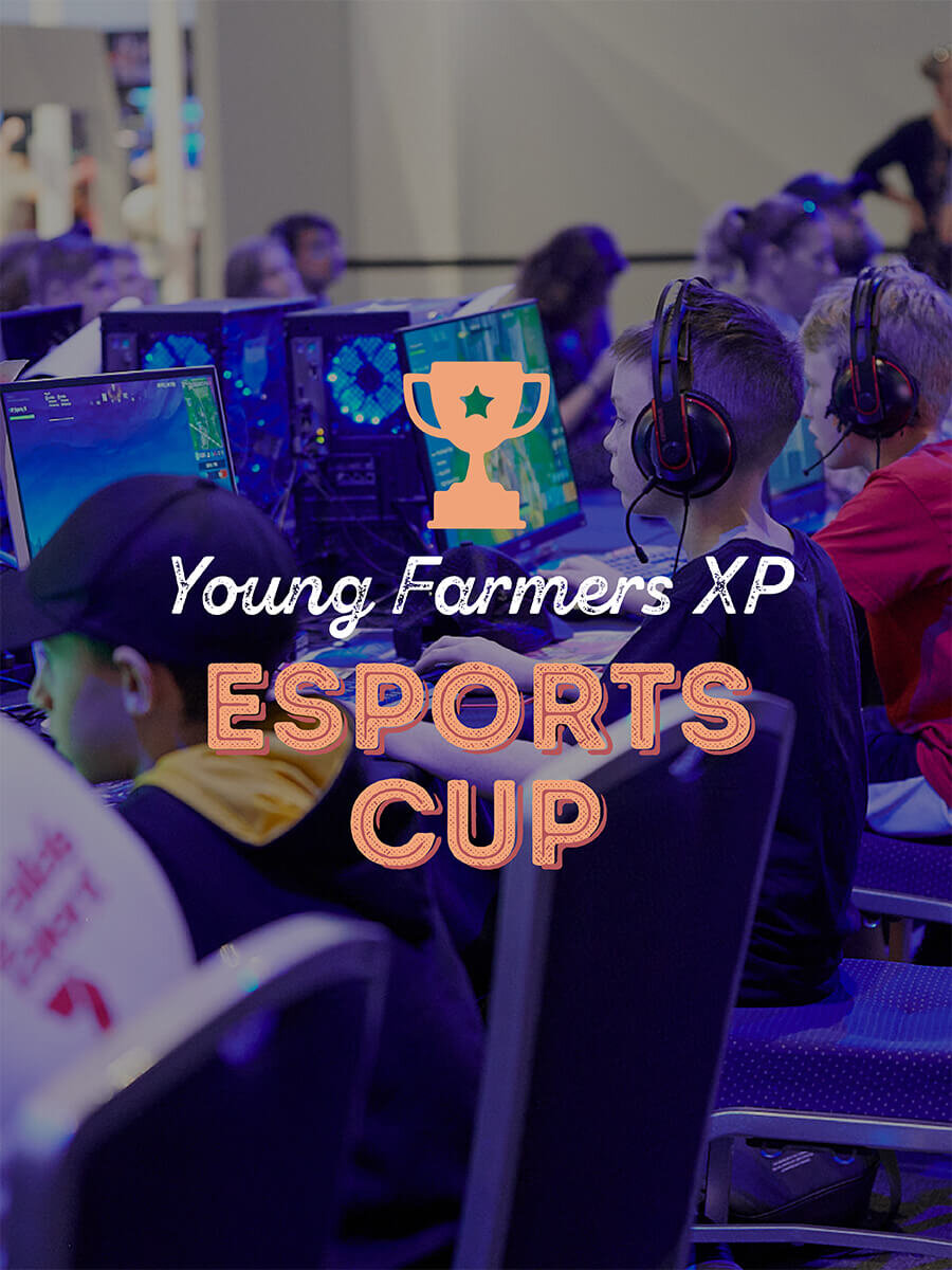 Online Ekka Banners_04_ESPORTS.jpg