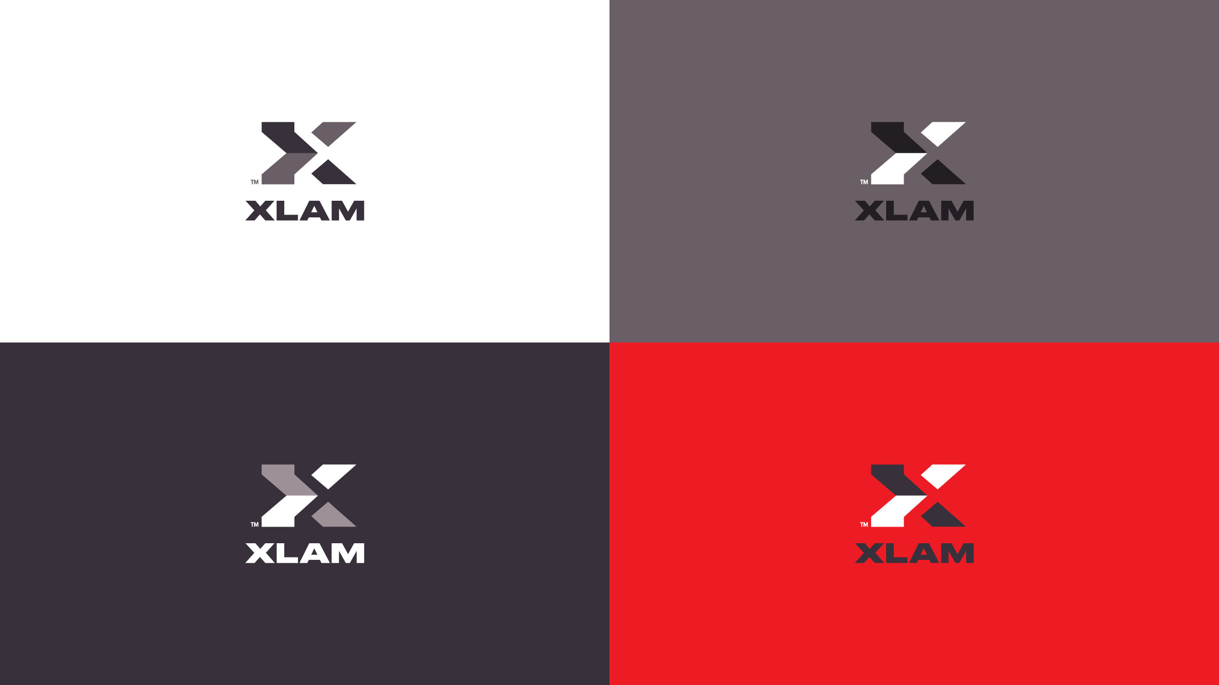 XLam_Case Study2.jpg