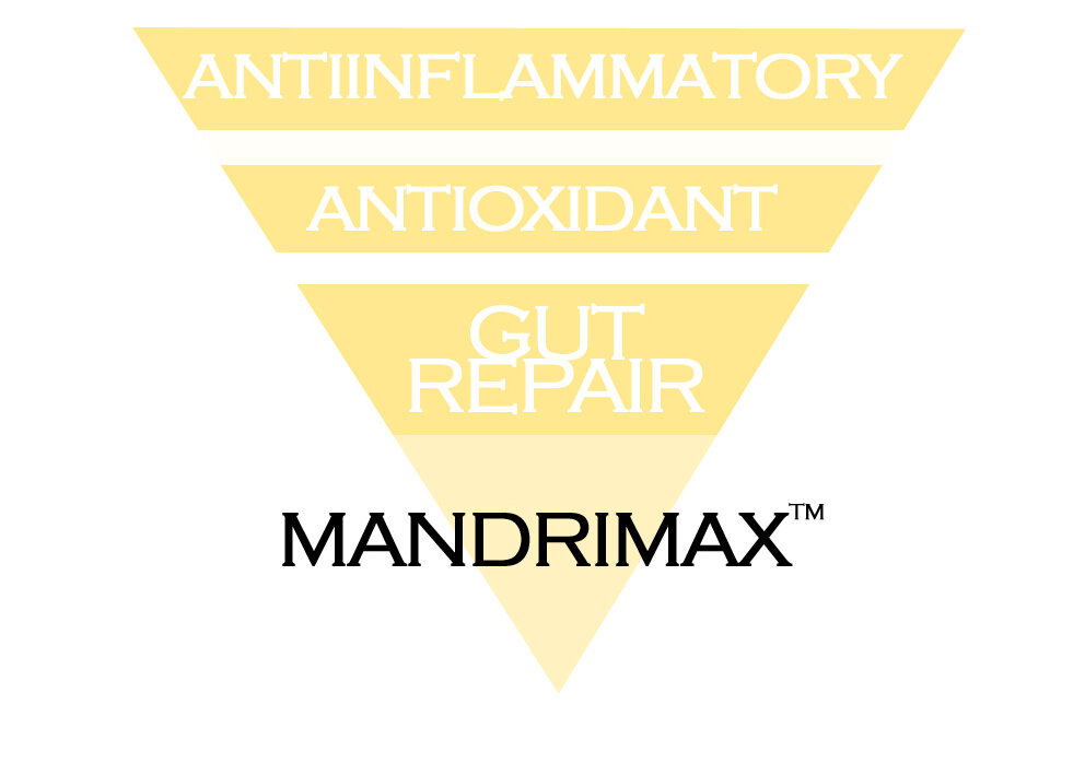 Mandrimax® Prebiotic is a patent-pending mandarin skin extract available as a polyphenol-rich, soluble, flowable powder and clean ingredient for incorporating into dietary supplements, food and beverages.