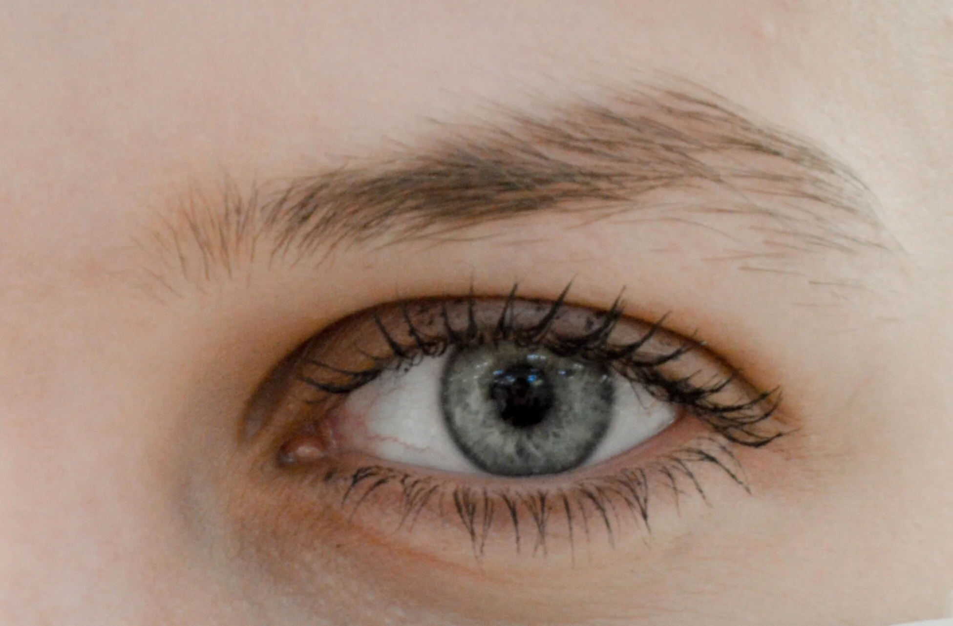 Original Brow
