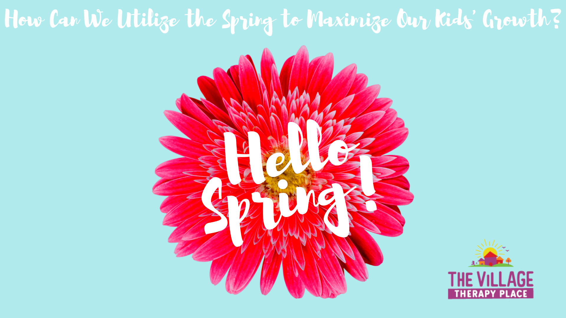 Spring’s Therapeutic Bounty!