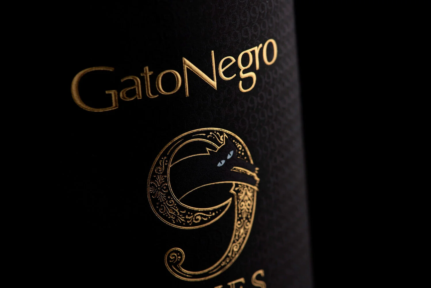 gato_negro_2.jpg