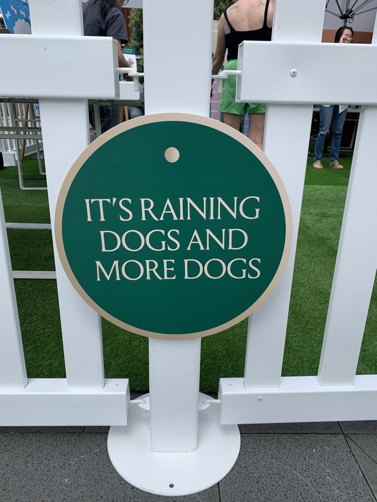 Raining Dogs Sign.jpeg