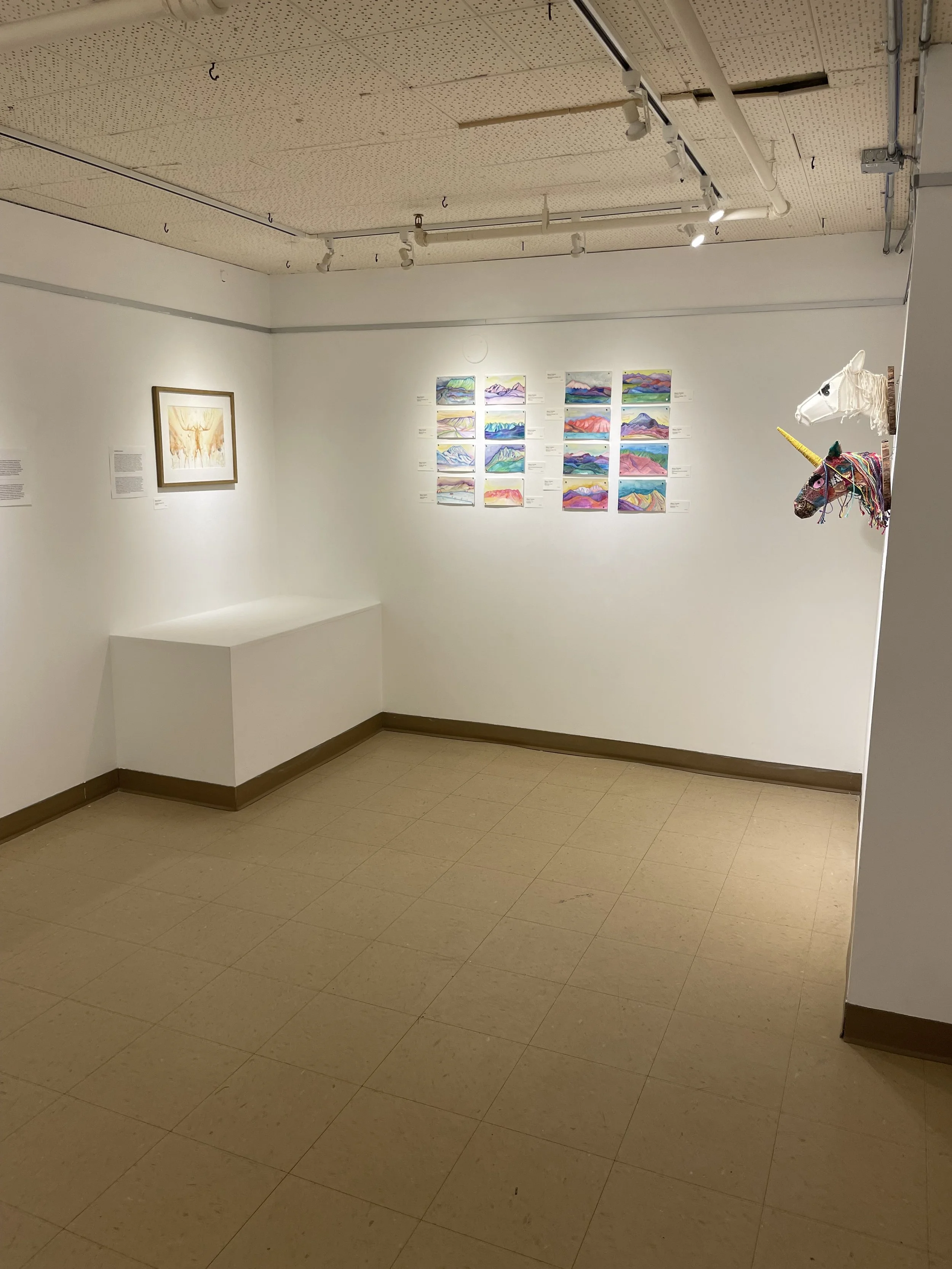 Photo 2026-02-10, 11 50 12 AM.jpg