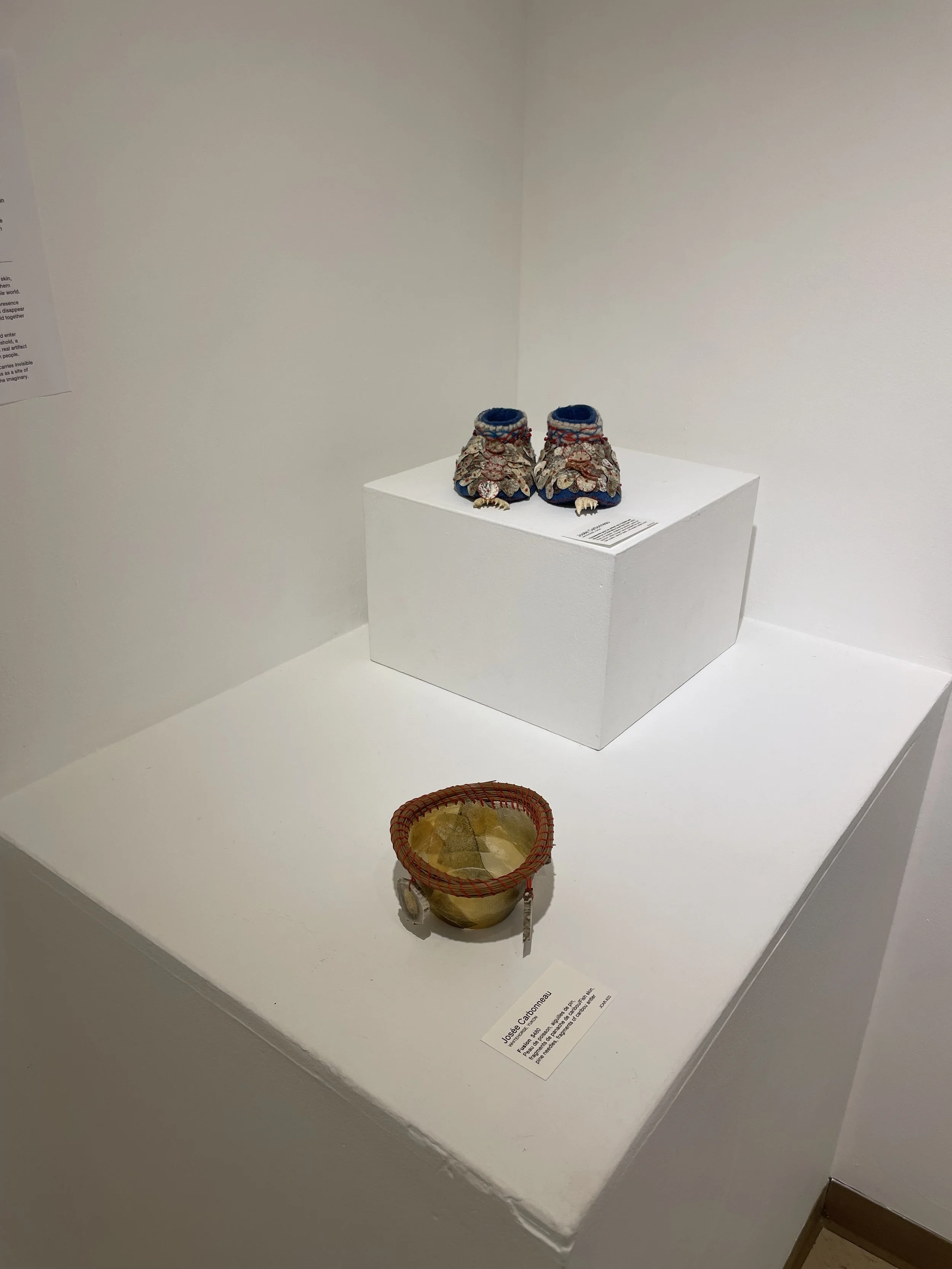 Photo 2026-02-10, 11 50 20 AM.jpg