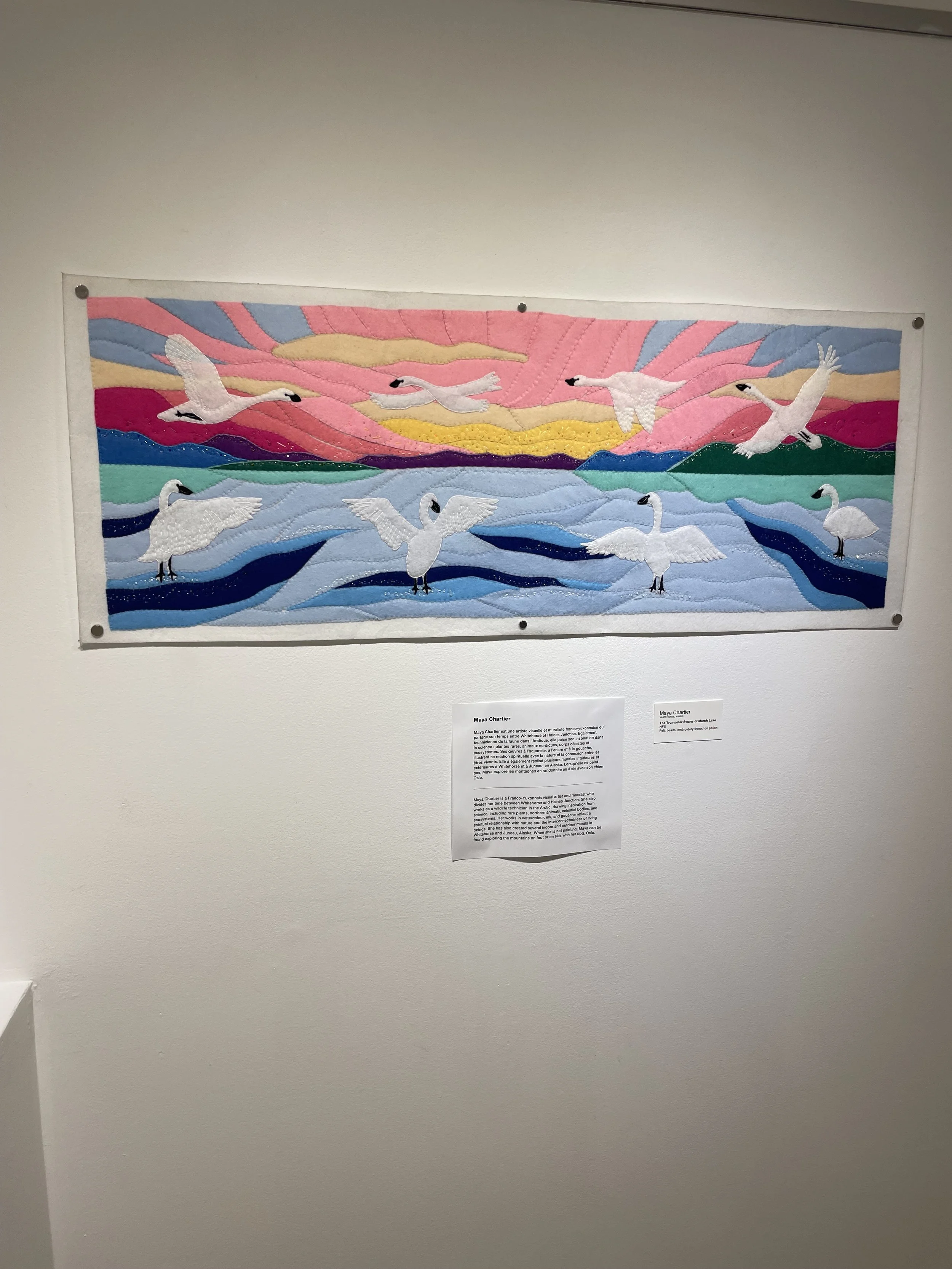 Photo 2026-02-10, 11 50 23 AM.jpg