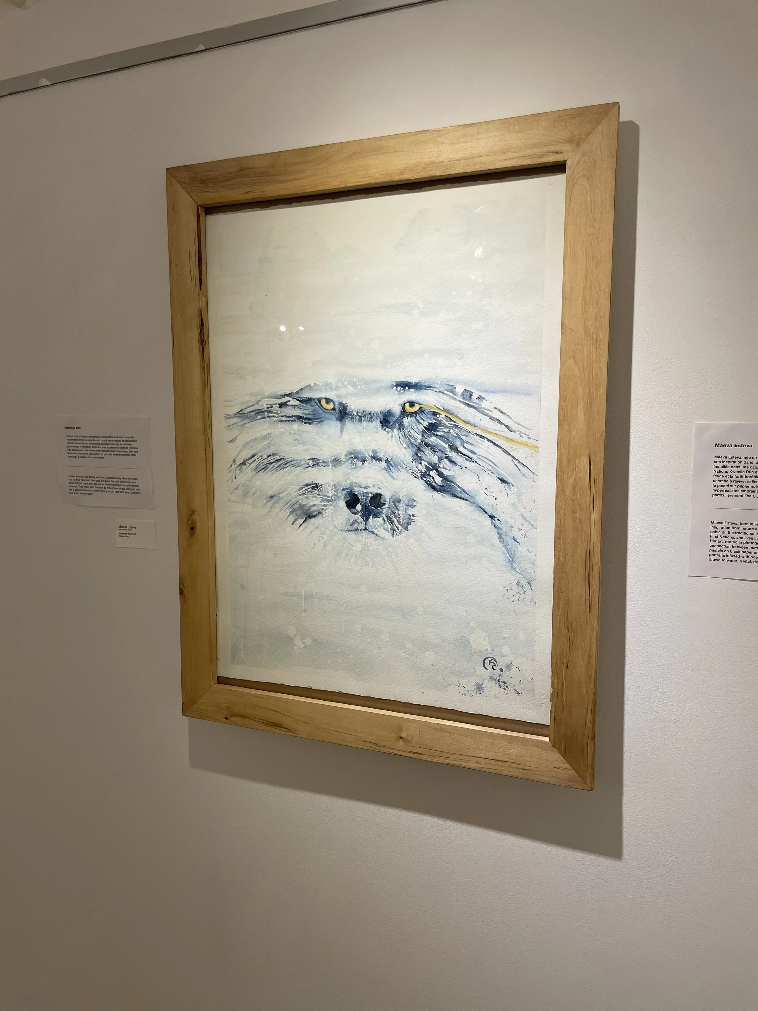 Photo 2026-02-10, 11 50 31 AM.jpg