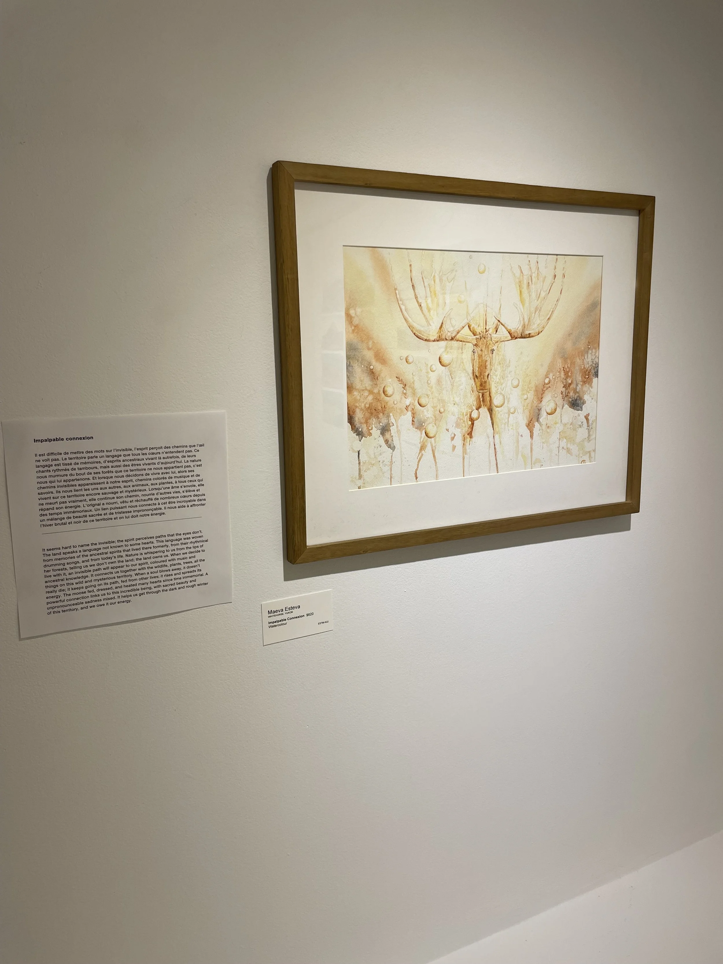 Photo 2026-02-10, 11 50 34 AM.jpg