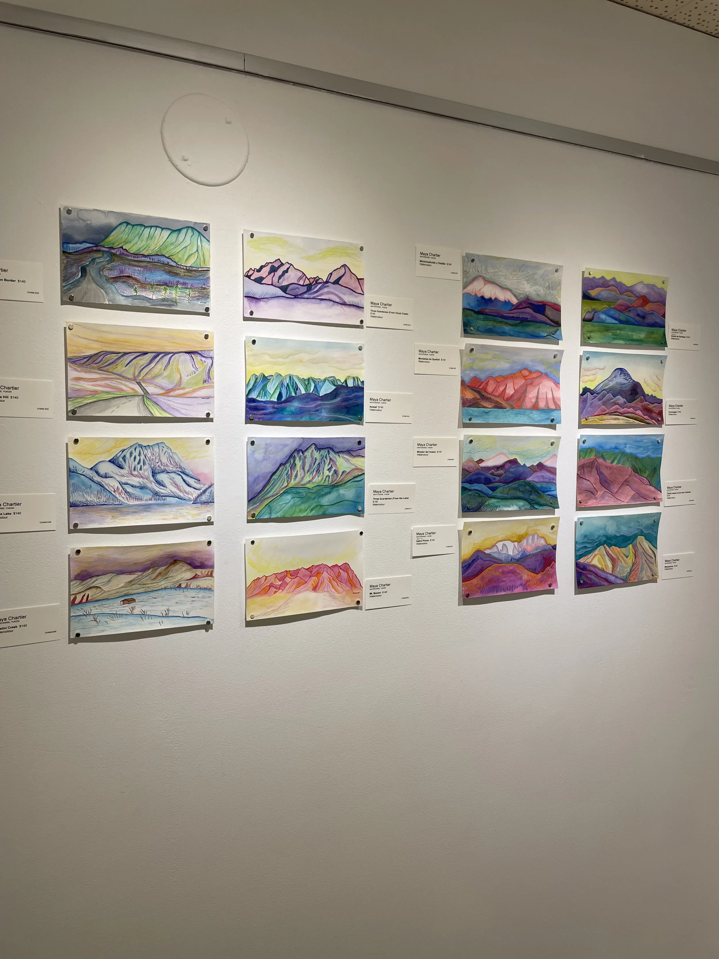 Photo 2026-02-10, 11 50 37 AM.jpg