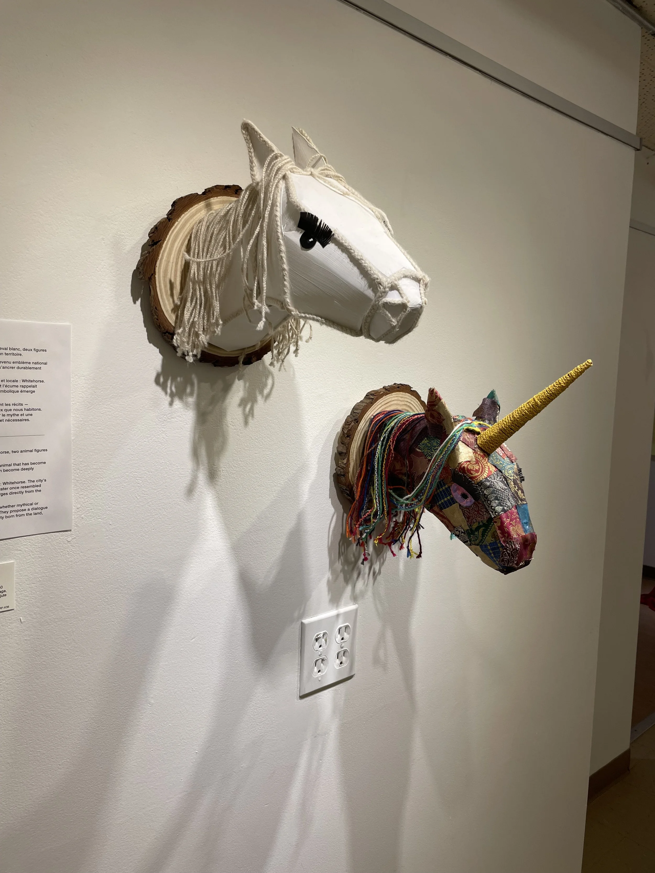 Photo 2026-02-10, 11 50 42 AM.jpg