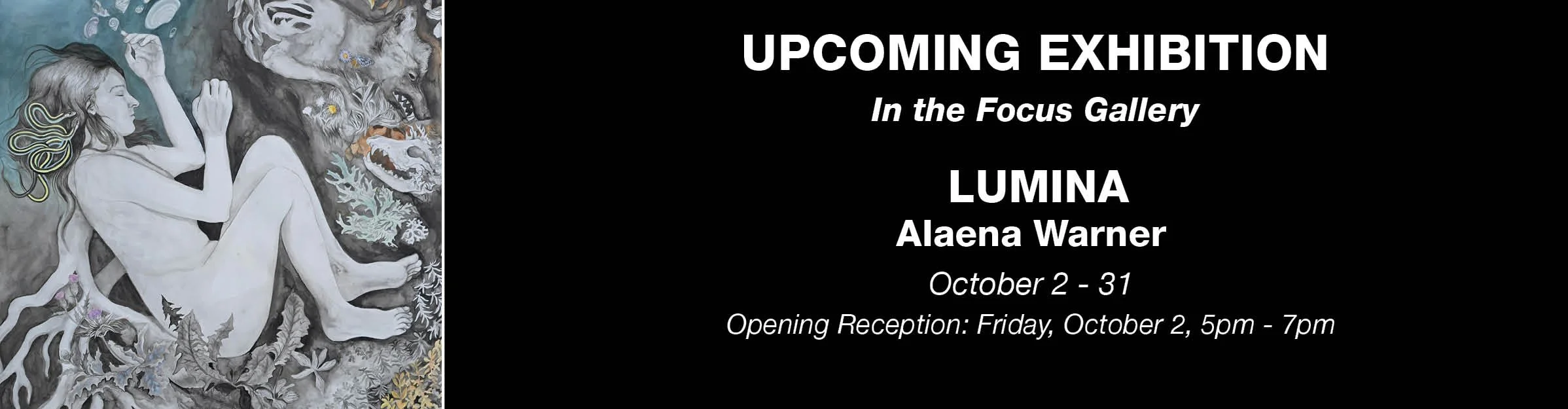 Website_Banner_A.Warner_Oct2026_Upcoming.jpg