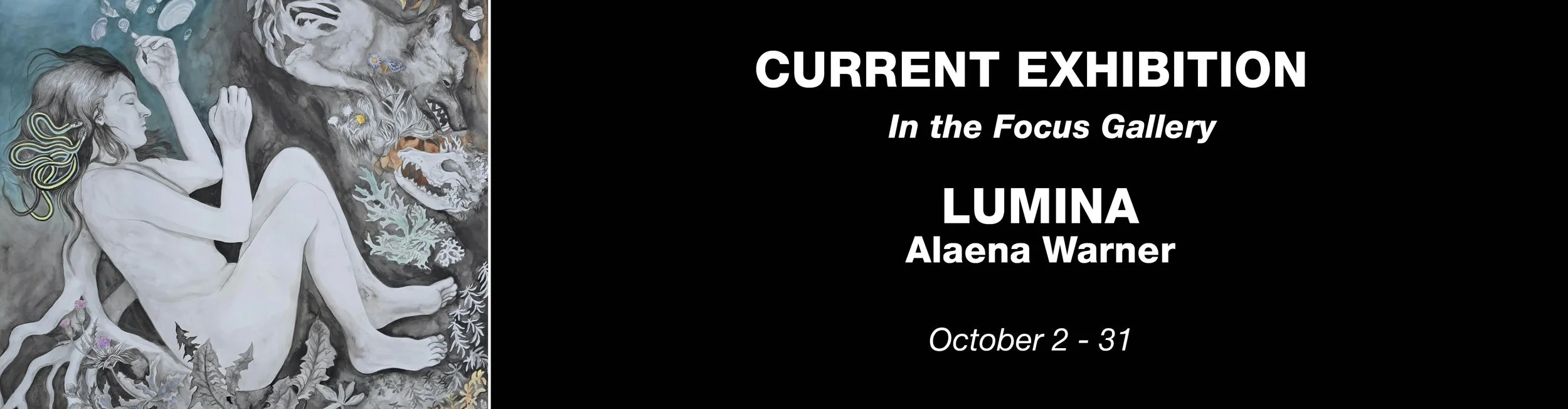 Website_Banner_A.Warner_Oct2026_Current.jpg