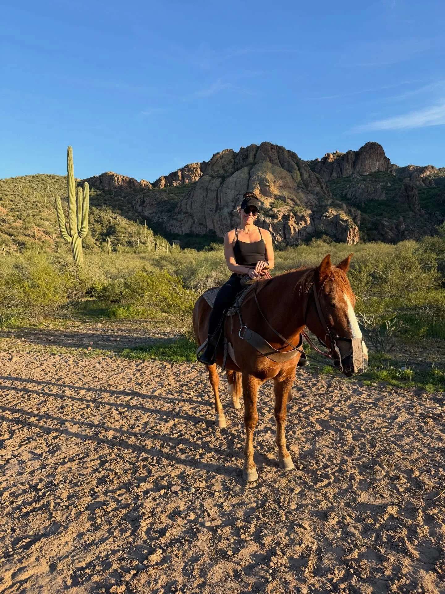 A week of ups and downs 🙃