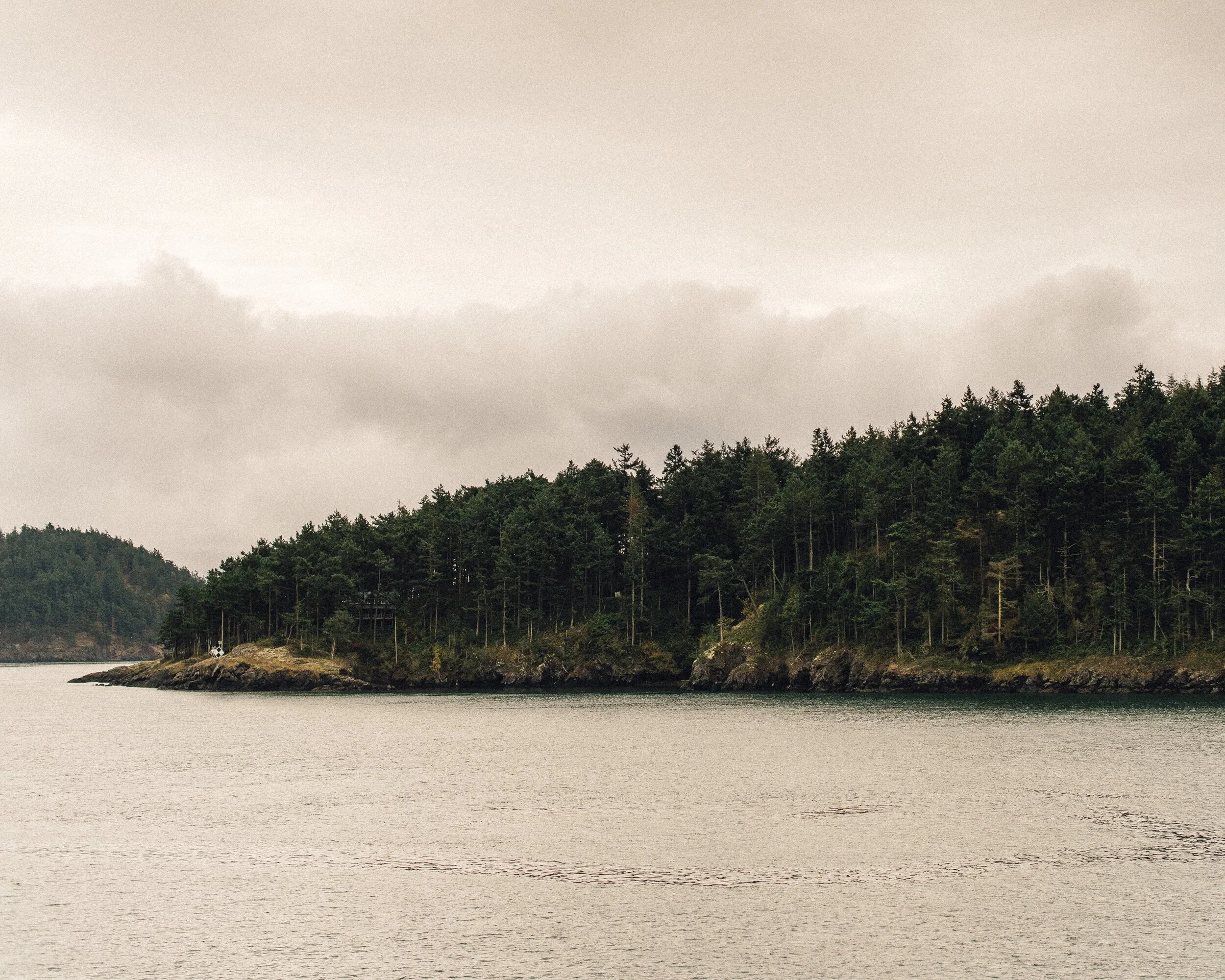 Aleph_artist_orcas_island_by_aj_ragasa.jpg