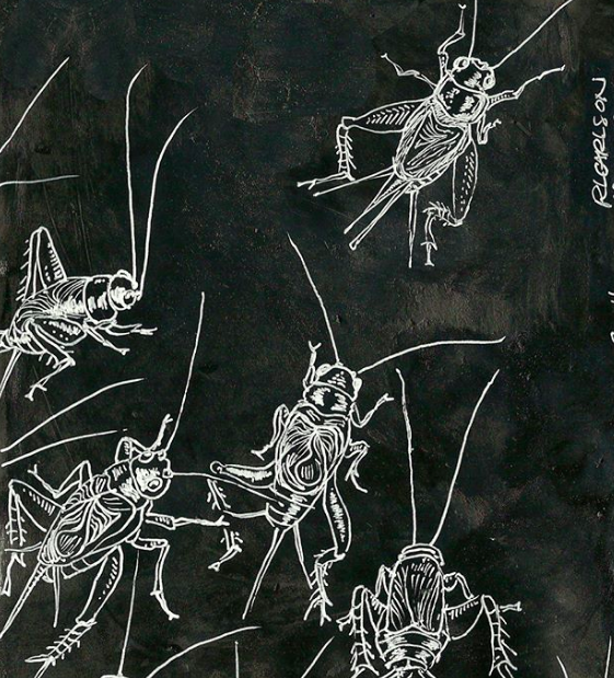 Screen Shot 2019-12-04 at 11.33.52 PM.png