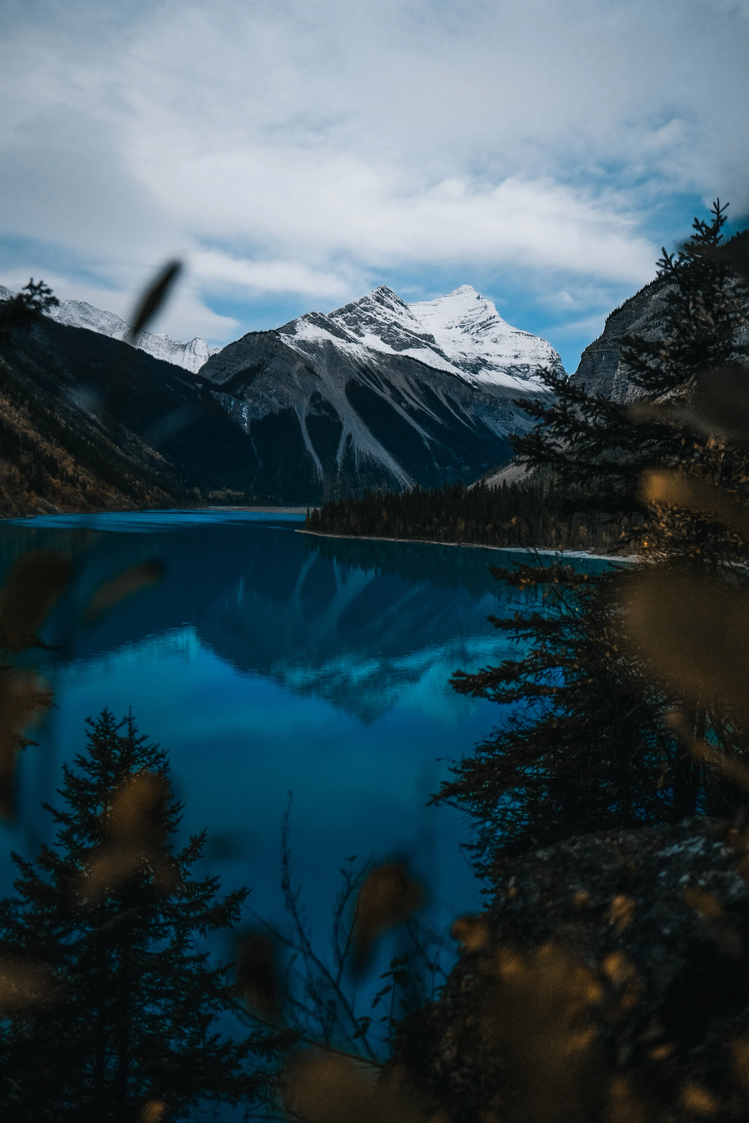 Copy of Copy of Blog Post 1