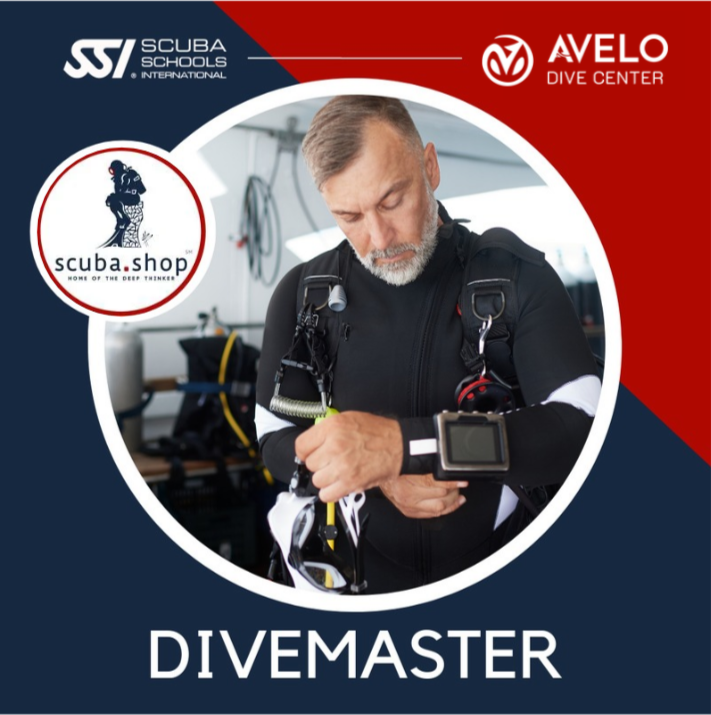Divemaster.png