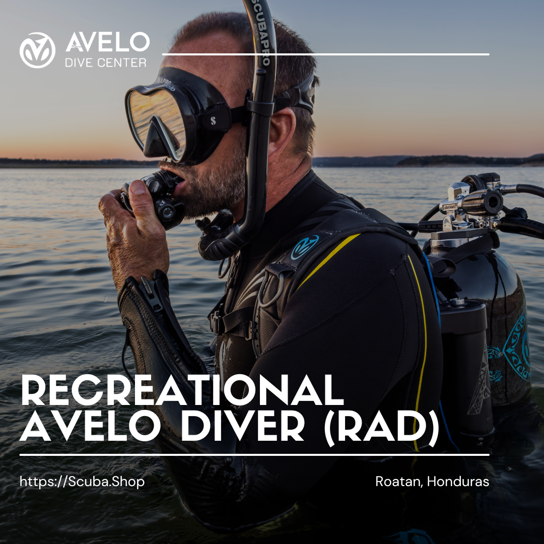 Avelo Dive Center