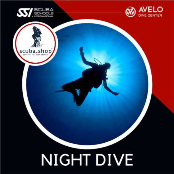 Night Scuba Dive
