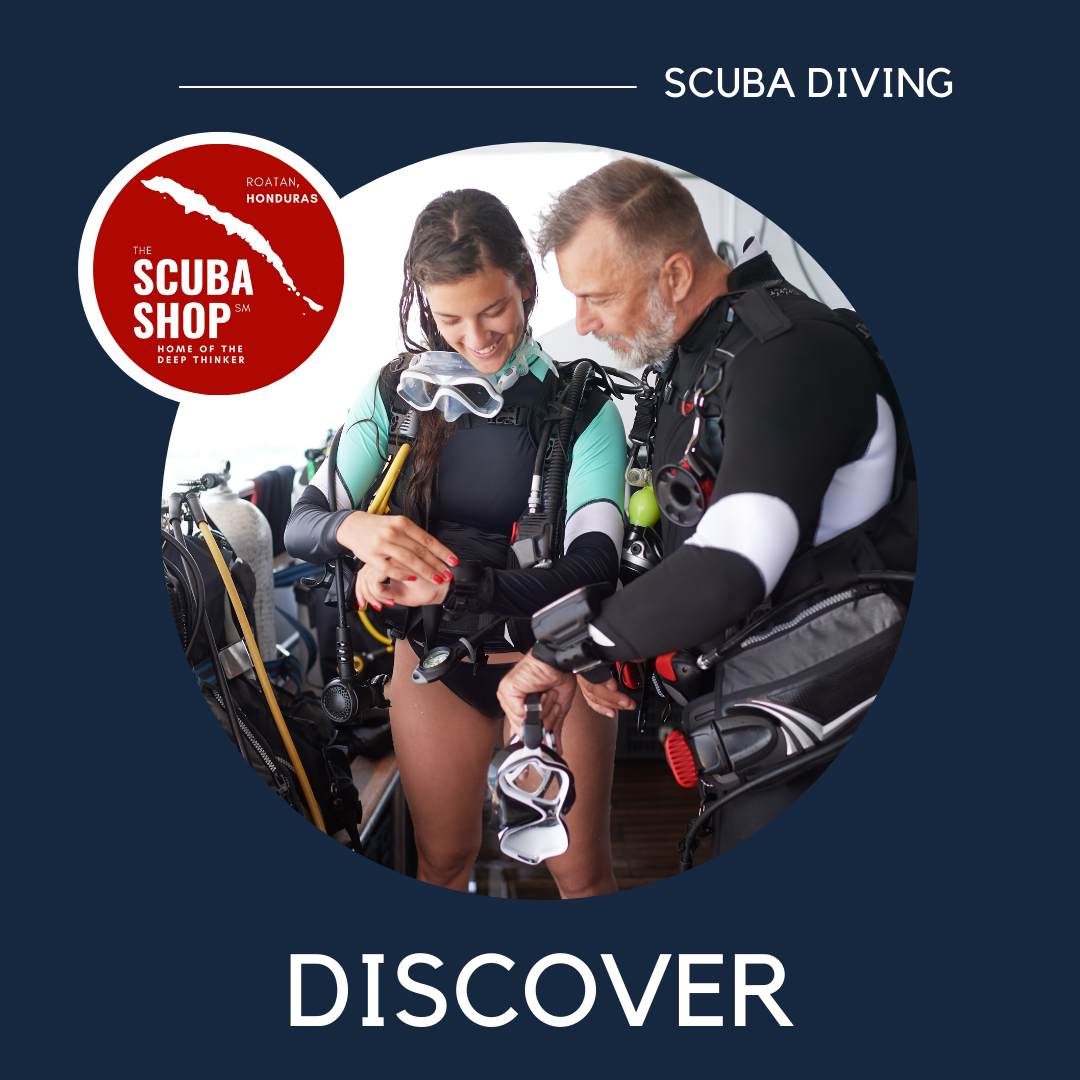 Discover Scuba Diving — Scuba Shop ℠