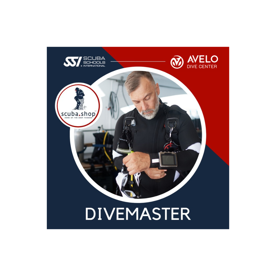 Divemaster Training