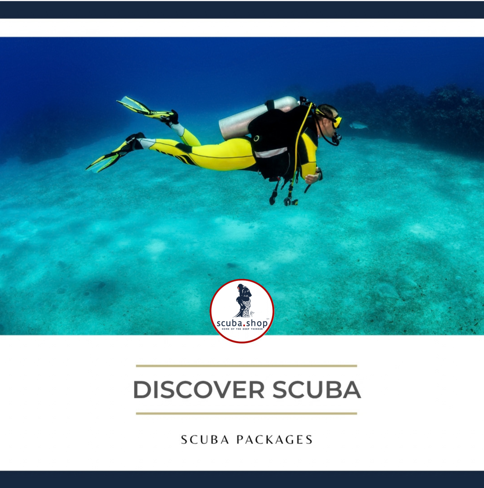 Try Scuba Diving