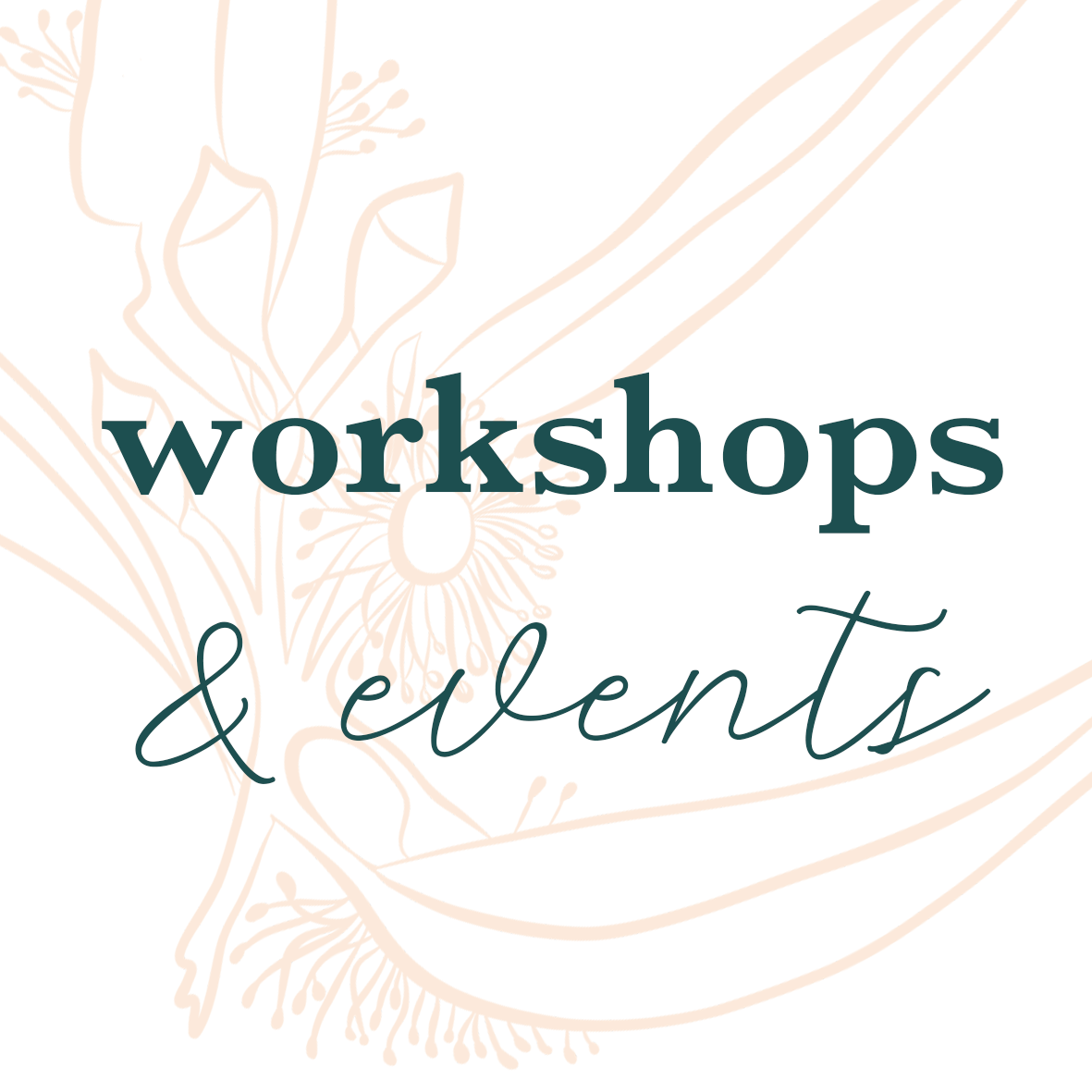 Workshops &amp; Events