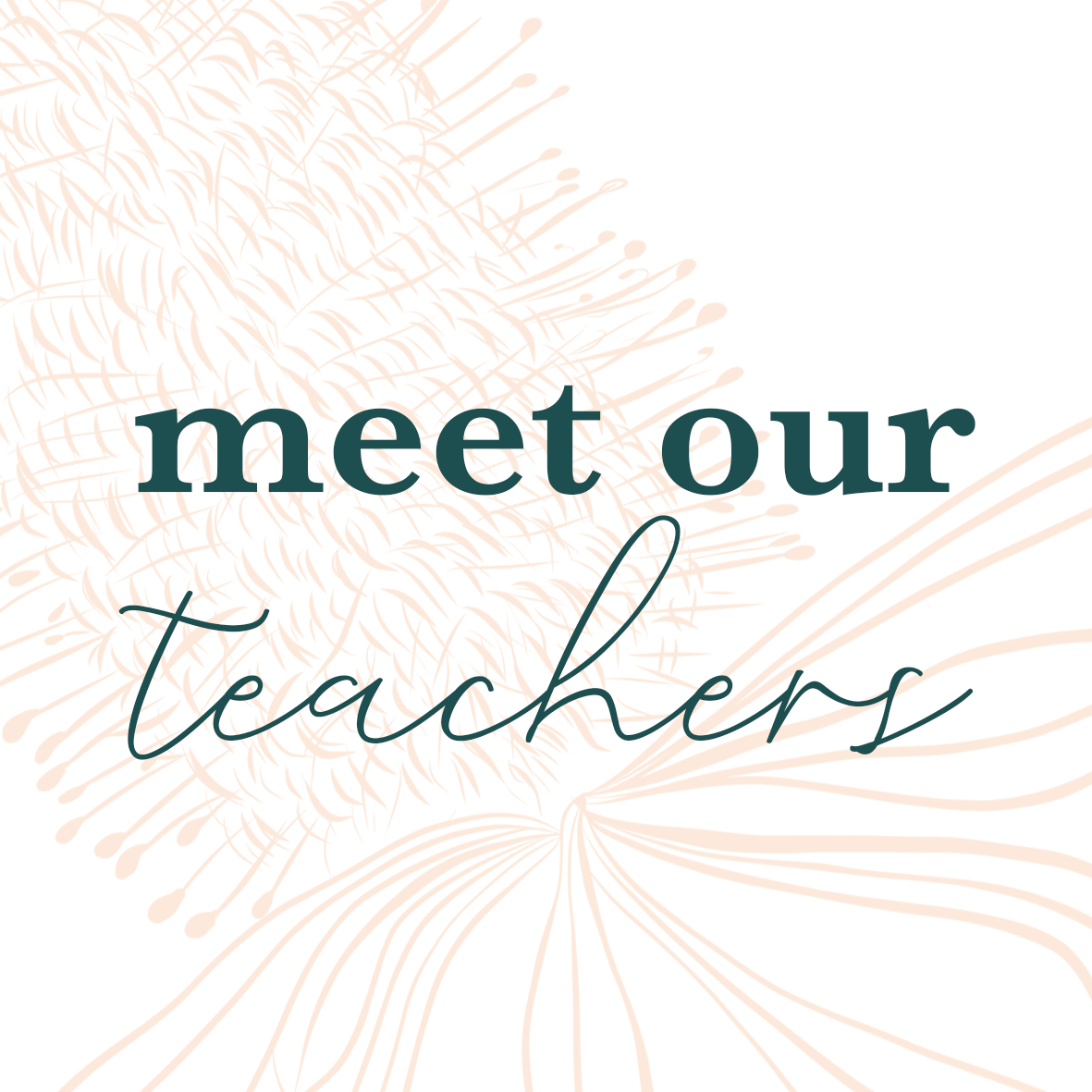 Meet our Teachers