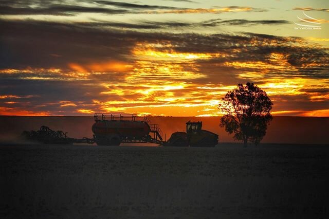 As the sun sets on the 2020 seeding season, here&rsquo;s hoping for rain for all our Wheatbelt farmers 🌨🌱🌾
.
.

@abcaustralia @abcmidwestwa #abcmyphoto #skyworkswa #meckering #calmbeforethestorm #seedingdoneforanotheryear #farmweekly #farmsunset #
