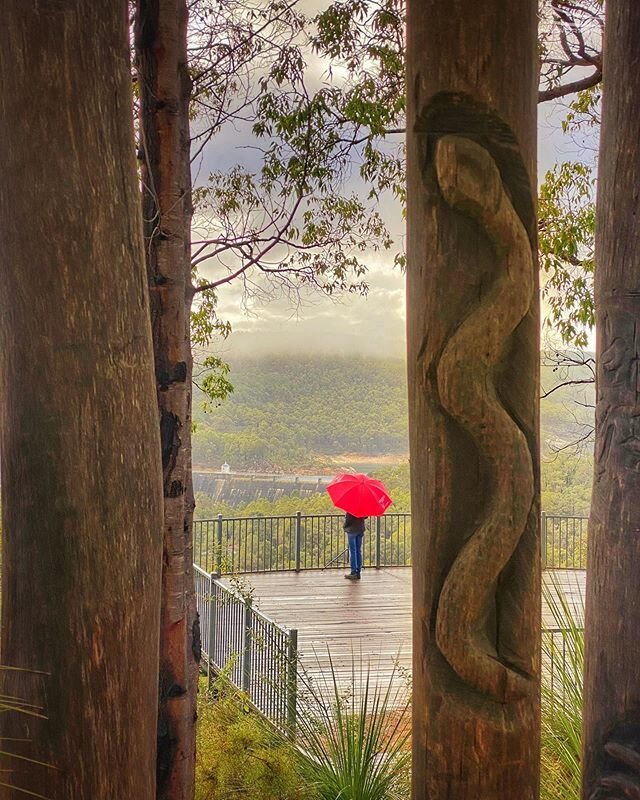 👀🐍
.
.

#skyworkswa #abcmyphoto #thisiswa #seeaustralia #perthhills #amazingwa #wanderoutyonder #adventureawaits #rainysunday #exploreyourbackyard #mundaringweir #photooftheday @perthhillsmundaring @experienceperthhills @destinationperth #southledg