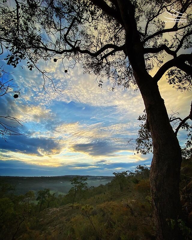 Our beautiful Perth Hills 🌿💚💙
.
.

#skyworkswa #abcmyphoto #thisiswa #seeaustralia #perthhills #amazingwa #wanderoutyonder #adventureawaits #exploreyourbackyard #mundaringweir #photooftheday @perthhillsmundaring @experienceperthhills @destinationp